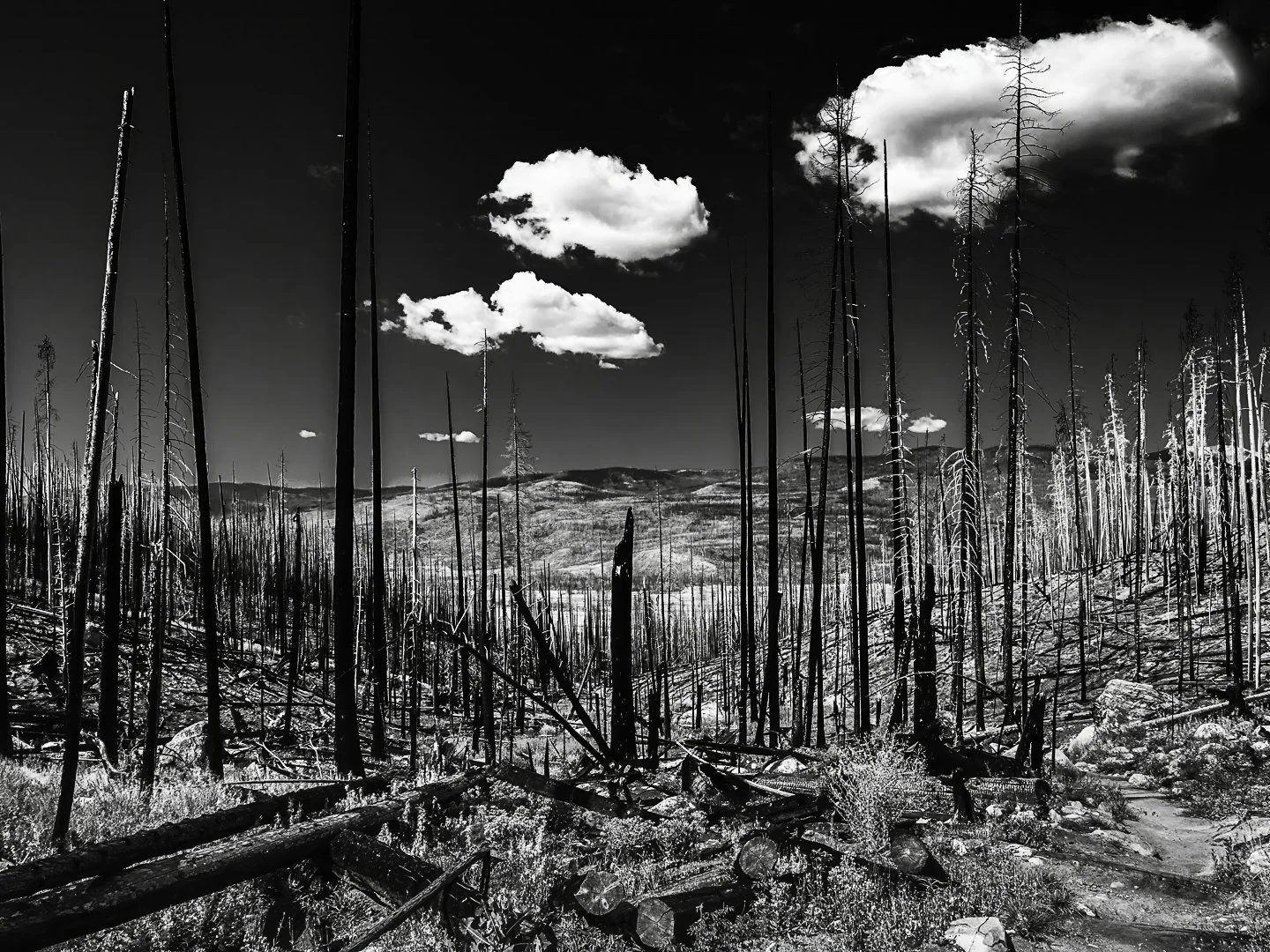 Rocky Mountain National Park (2022)