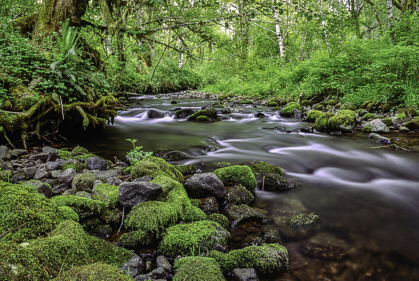 Little Abiqua Creek (1994)