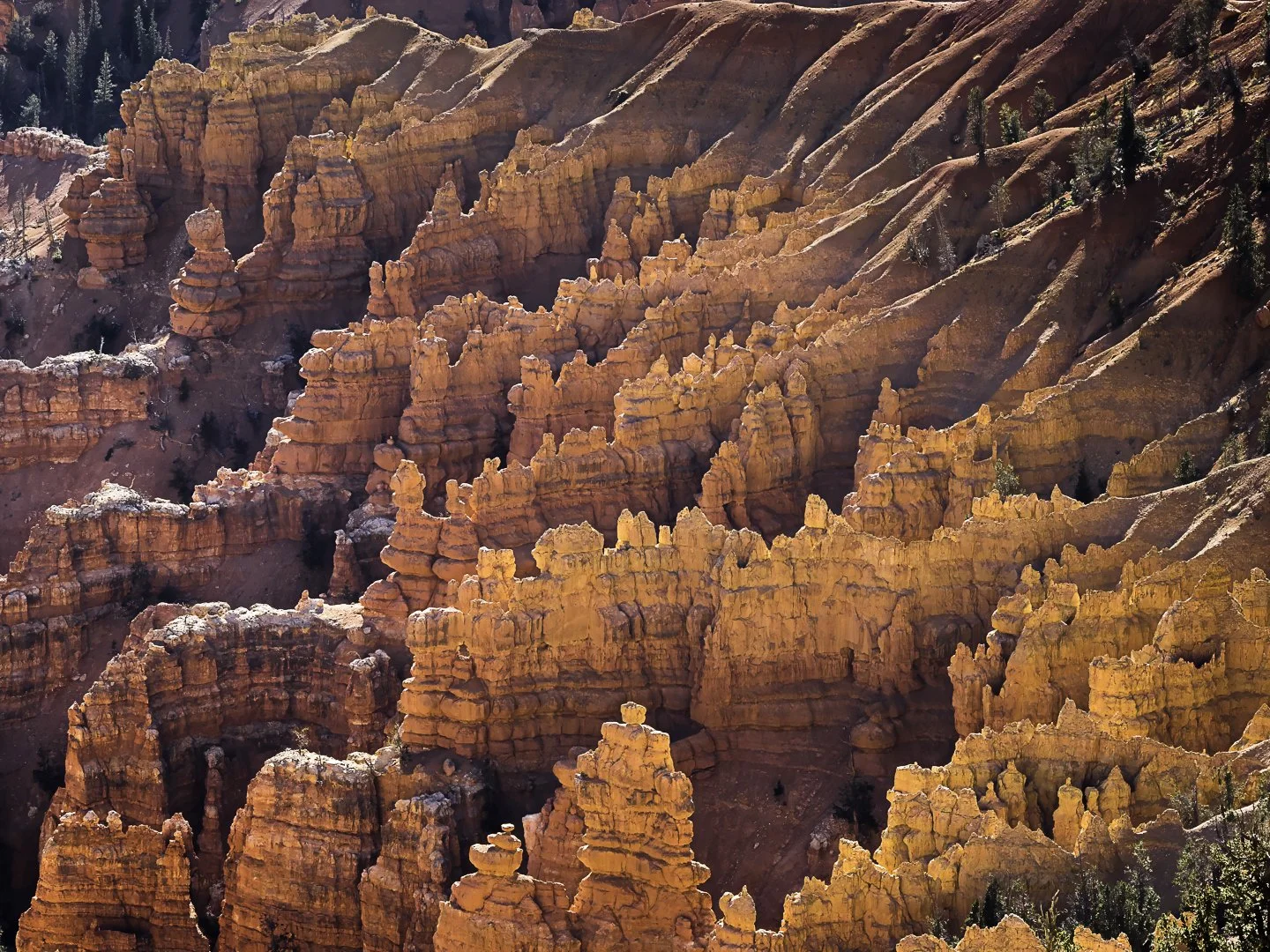 Cedar Breaks National Monument, UT (2020)
