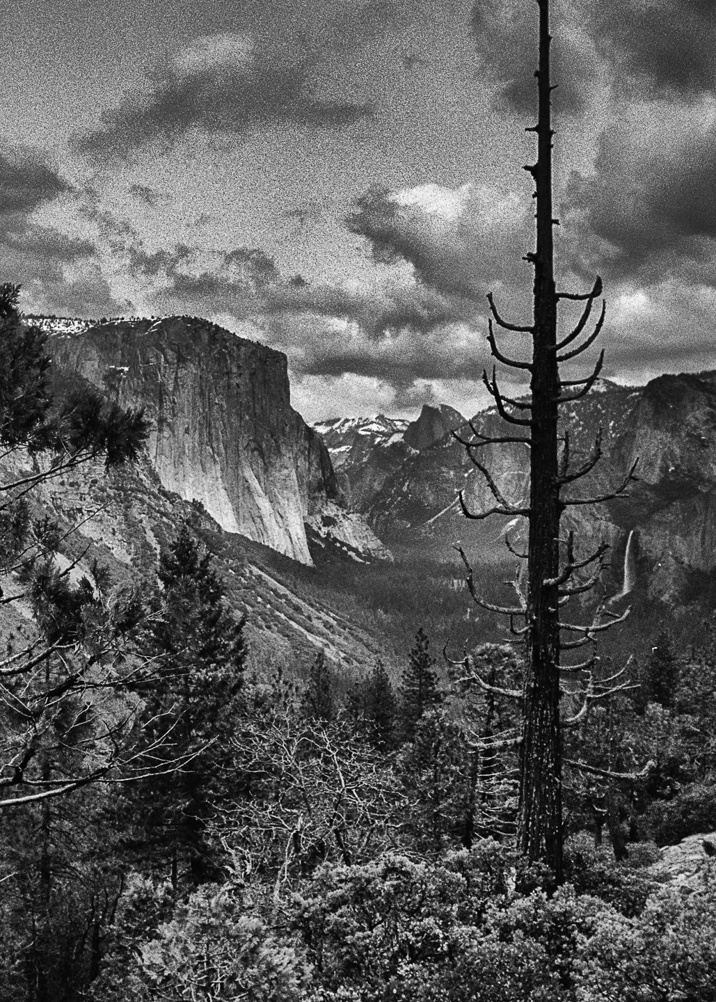 Valley View, Yosemite National Park (1991)