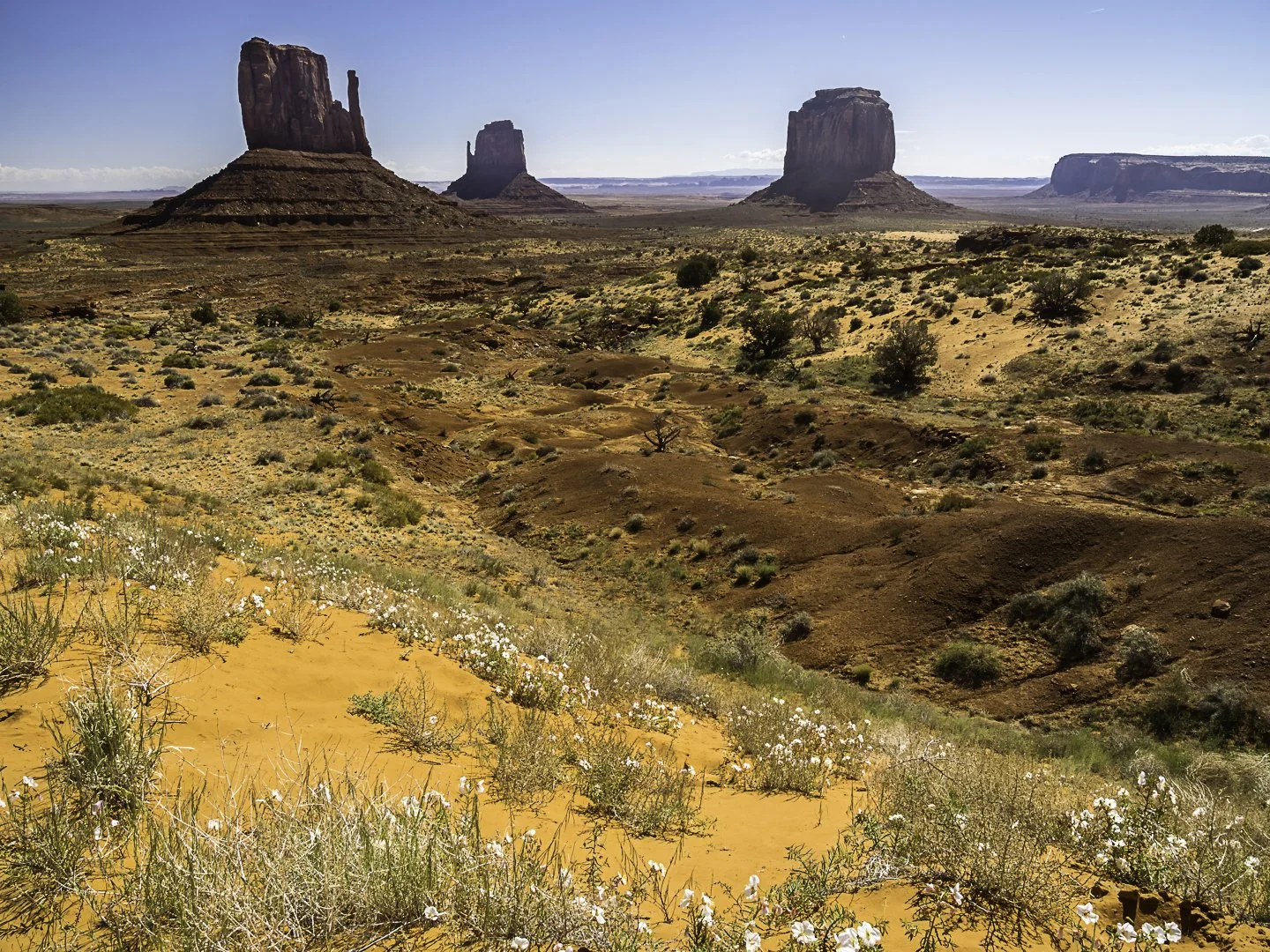 West Mitten, East mitten, and Merrick Butte (L to R)