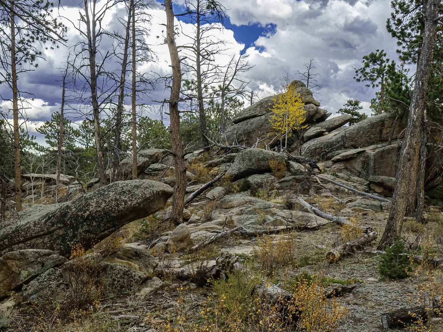 _A120054-Edit.jpg