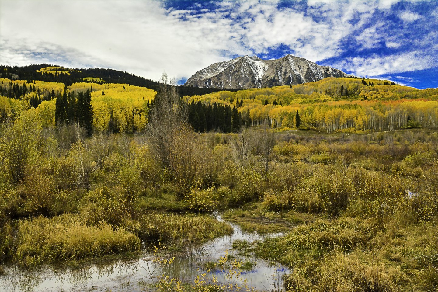 East Beckwith Mountain from Kebler Pass Road (2014)