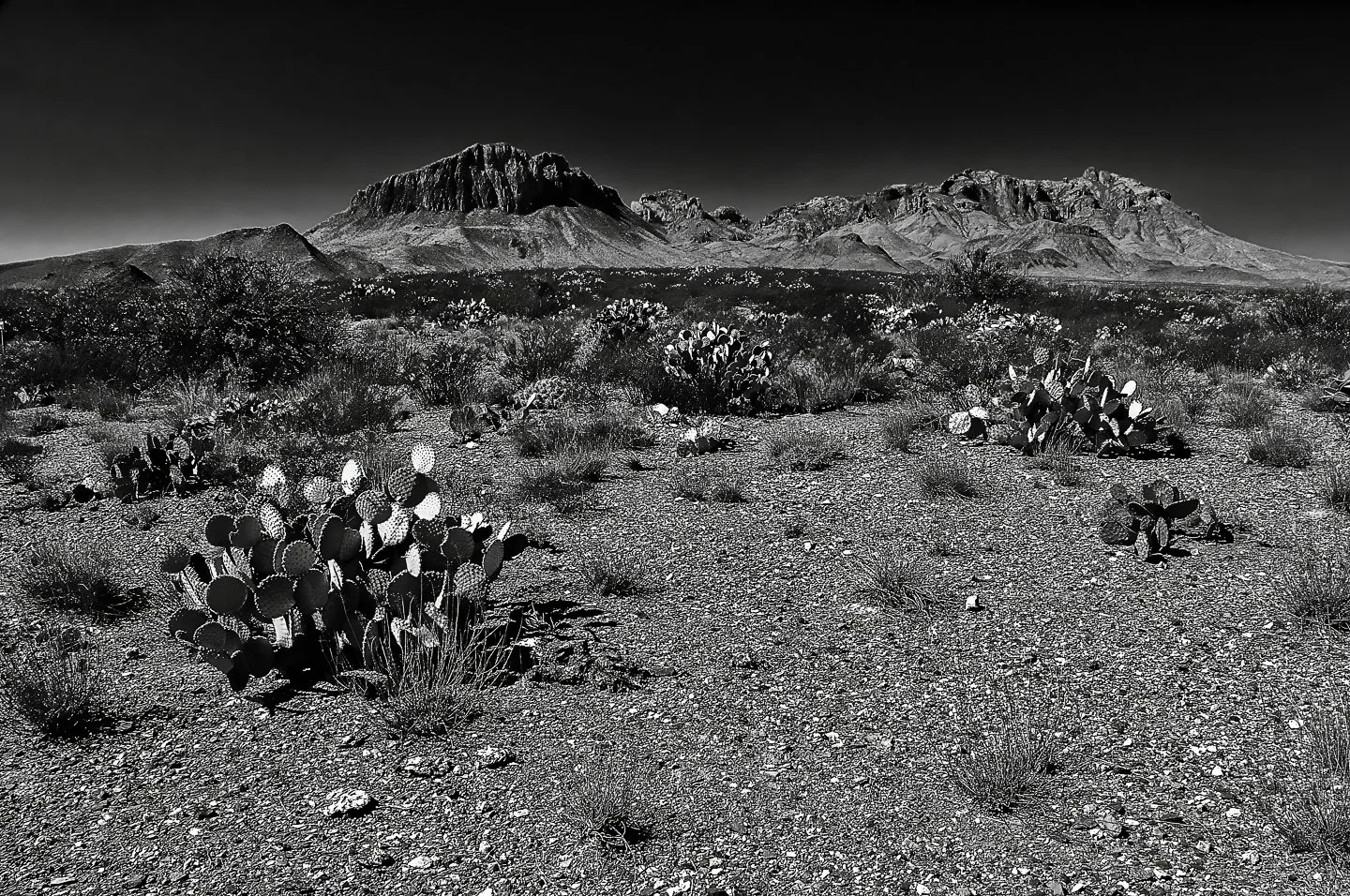 Big Bend National Park, TX (2011)