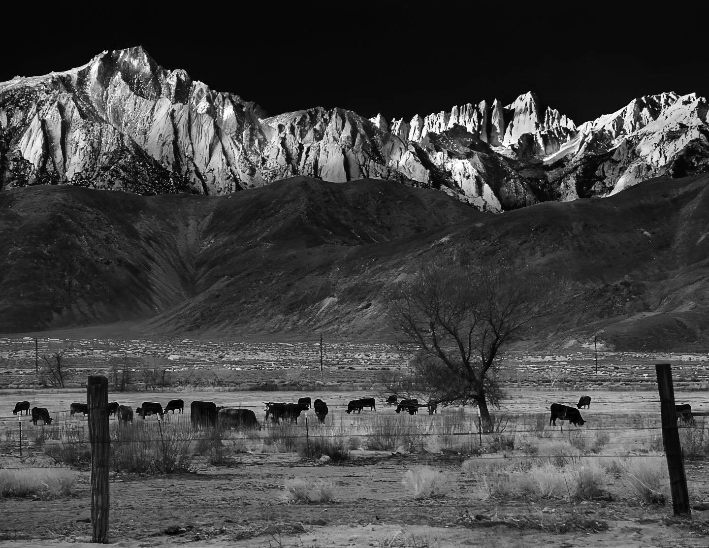 Mt Whitney from Owens Valley near Lone Pine (1989)