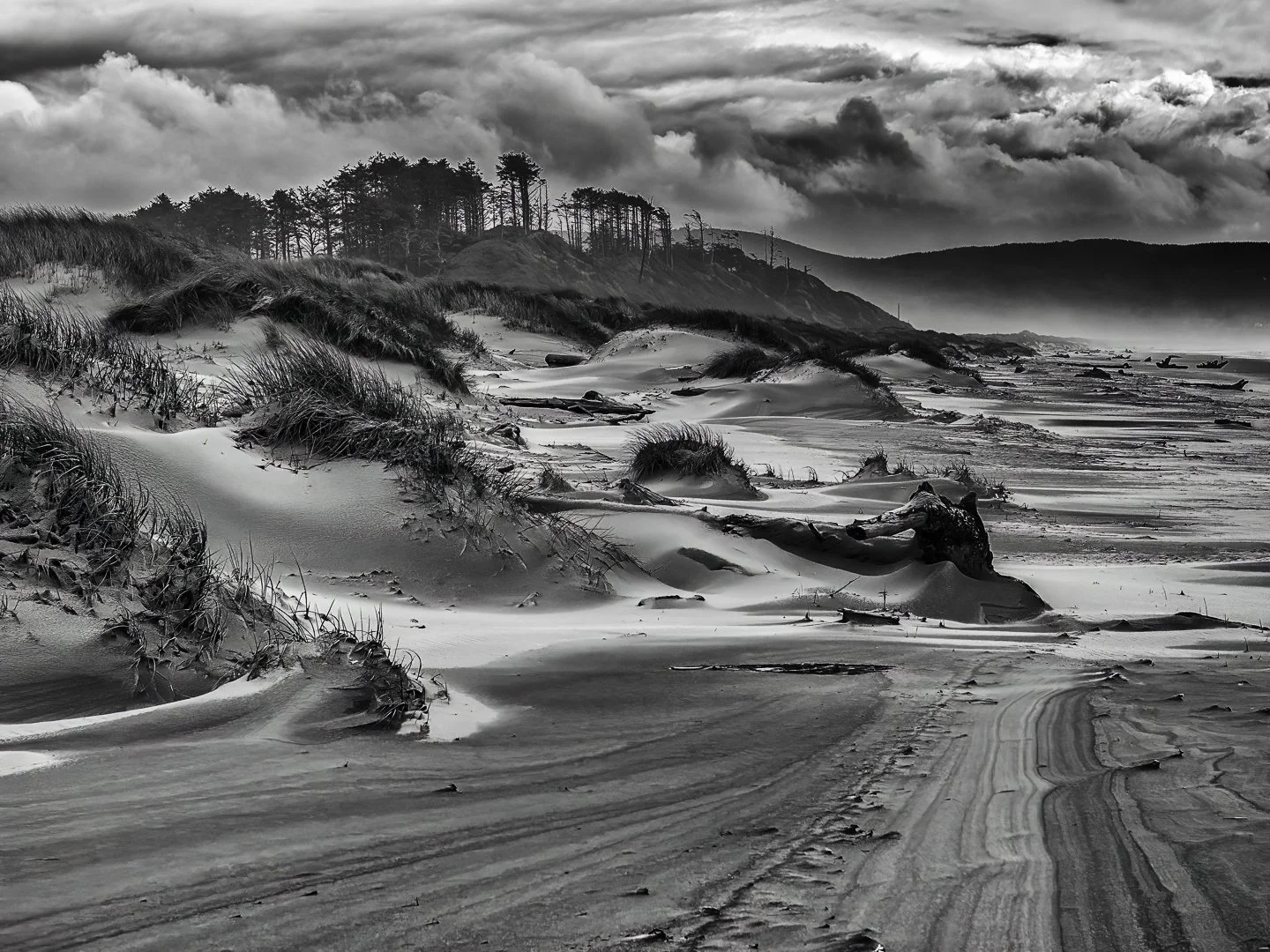 Beach Dunes, Cape Meares (2018)