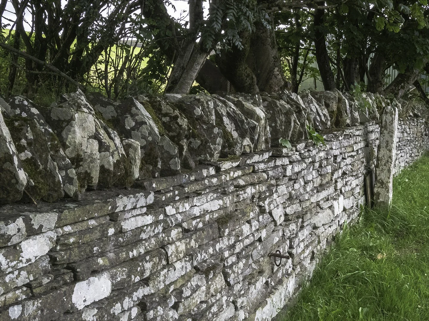 Typical stone wall