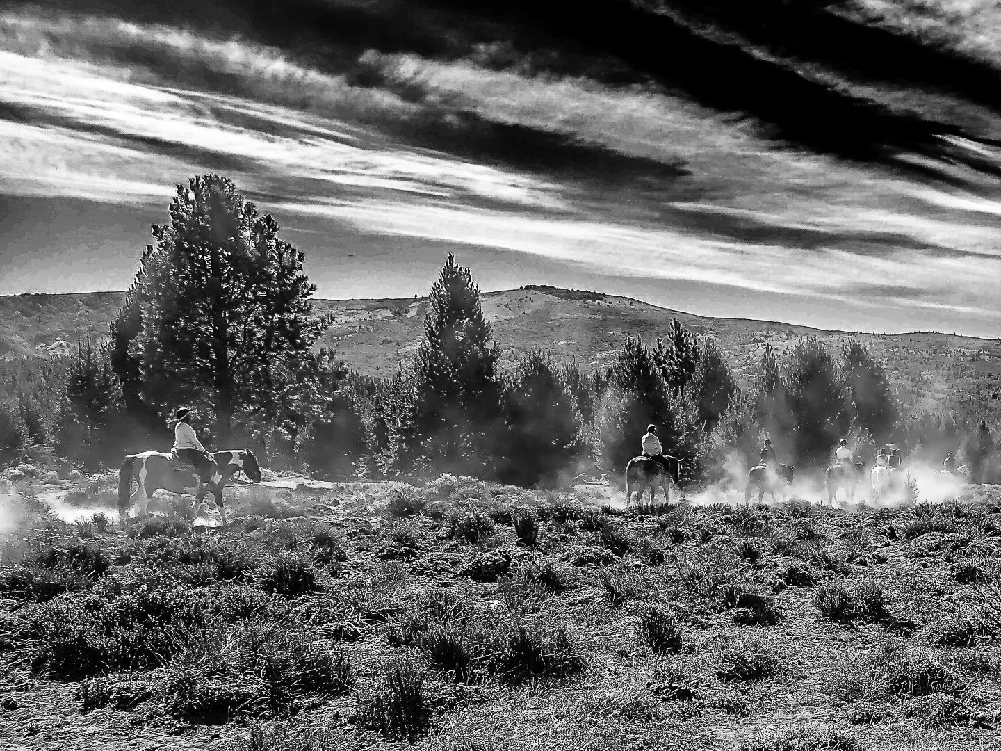 Ranch near Bariloche, Argentina