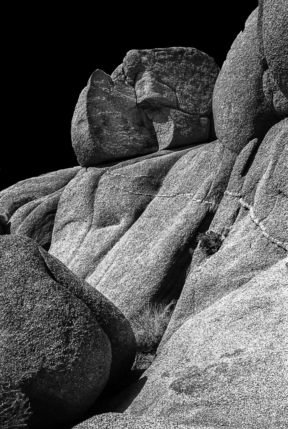 Joshua Tree National Monument (1990)
