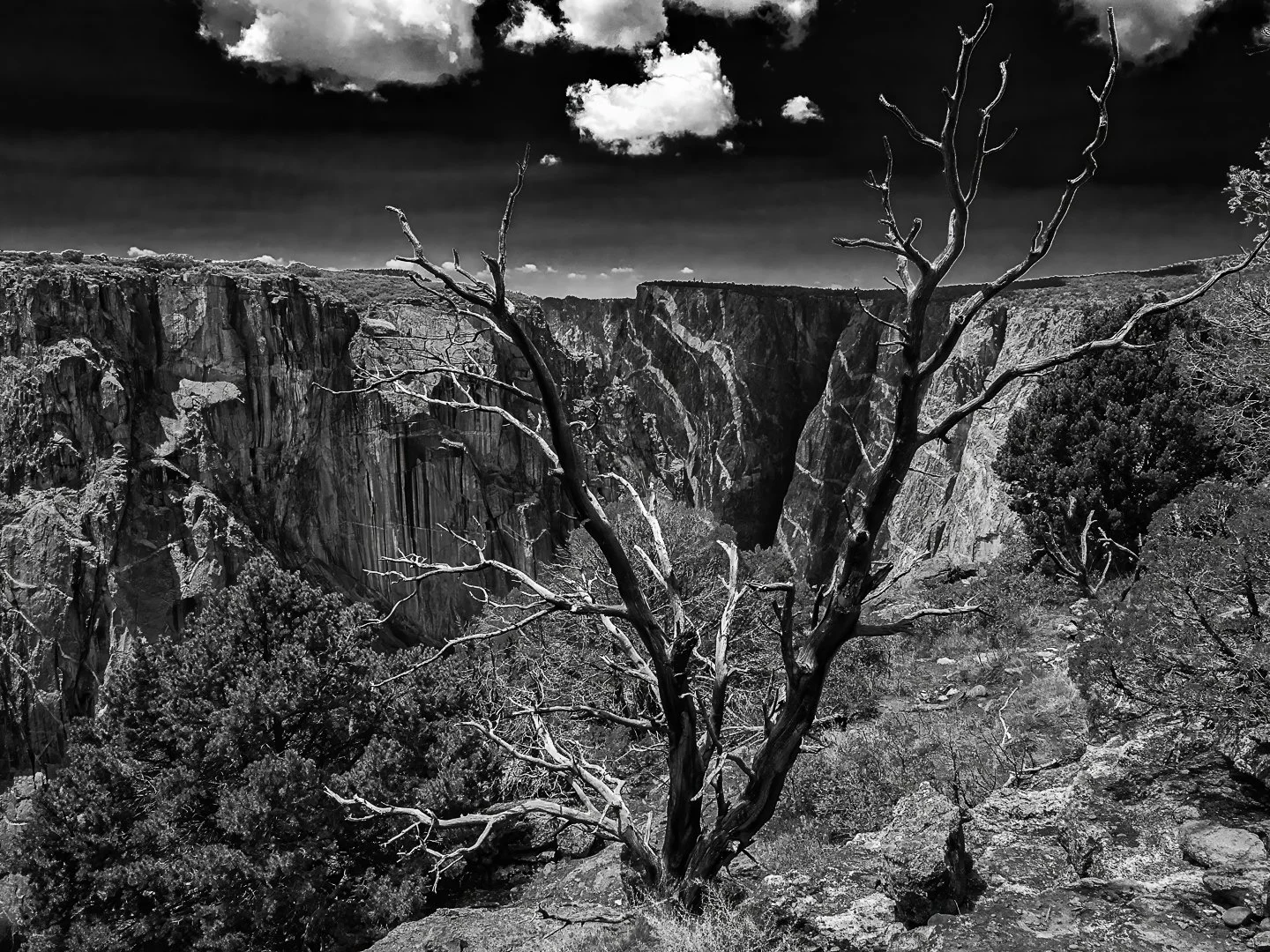 Black Canyon of the Gunnison National Park (2021)