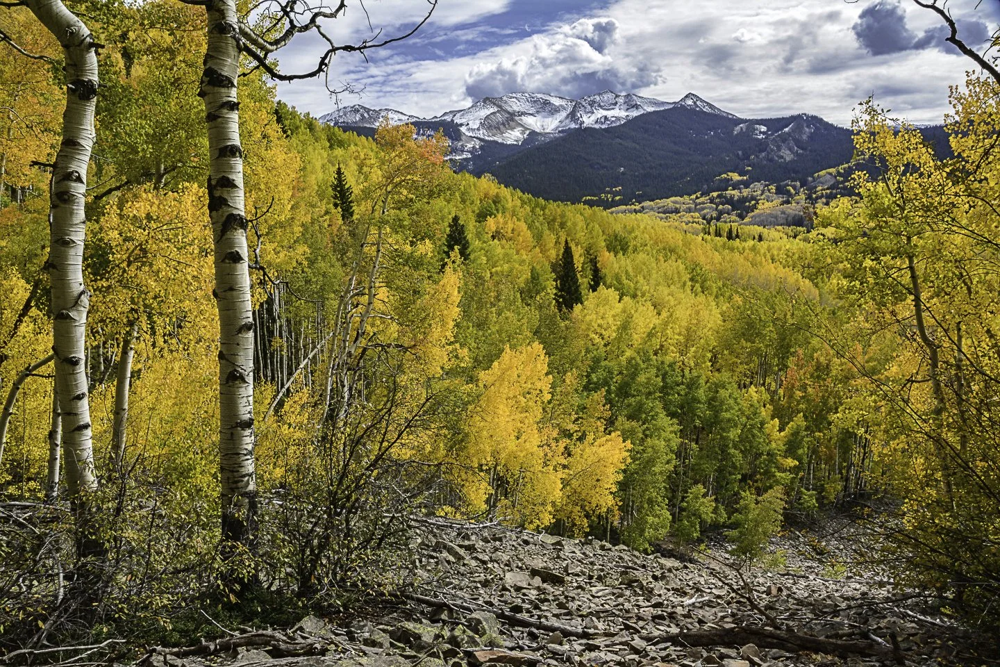 West Elk Mountains from Dark Canyon Trail (2014)