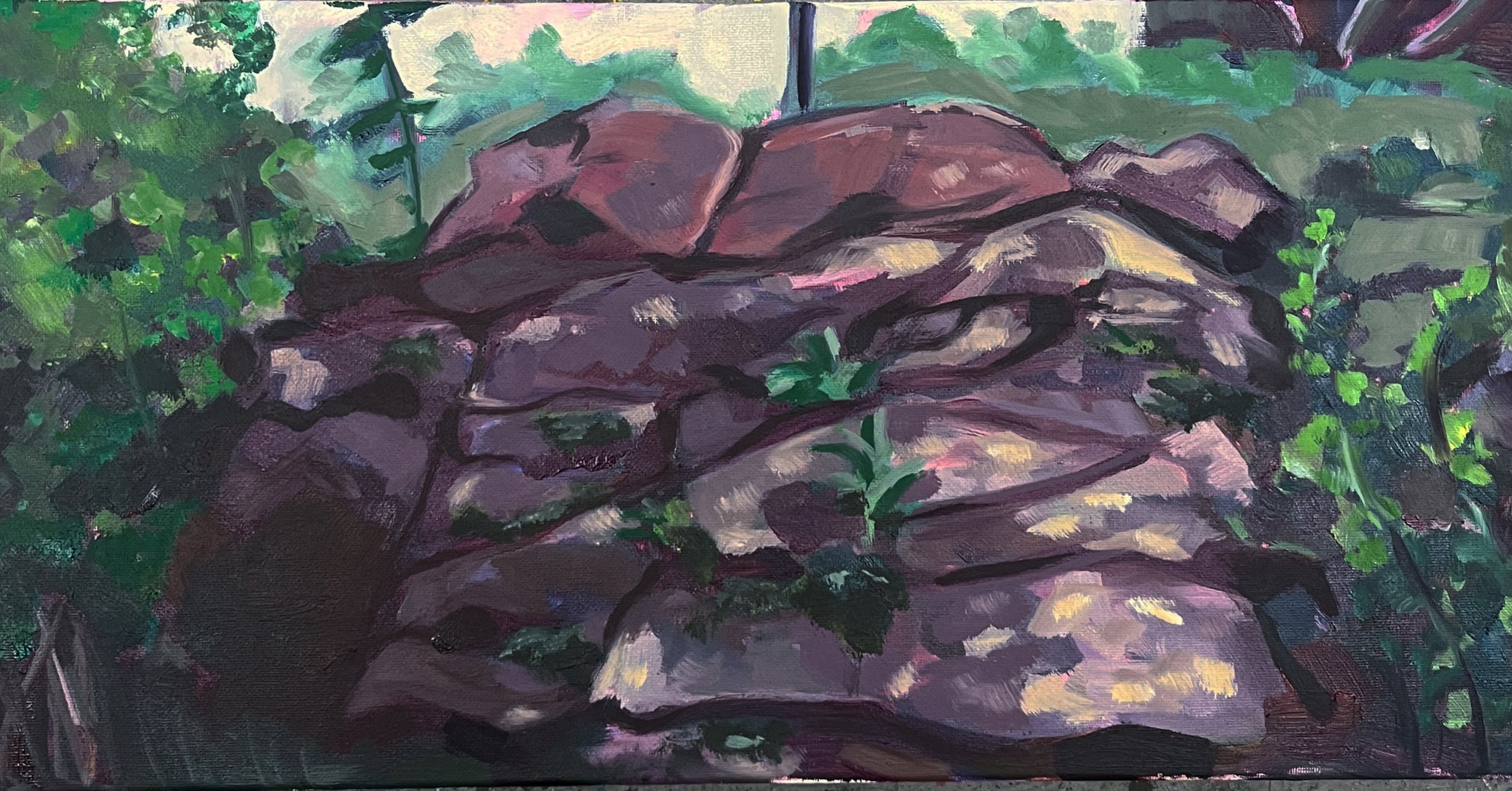 Dappled 2024.jpg