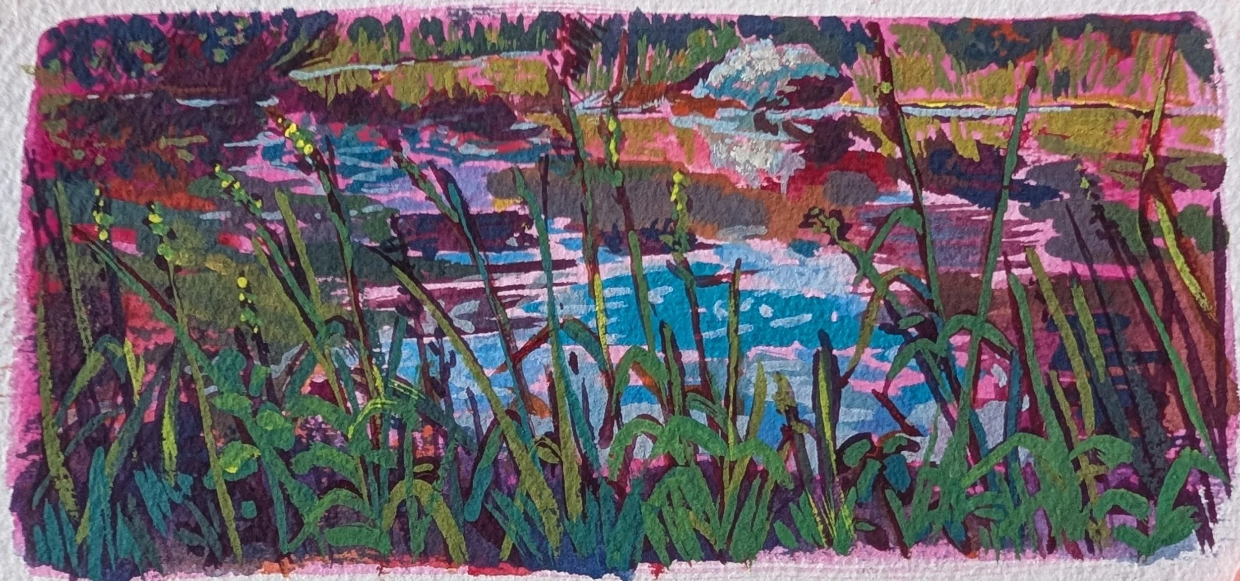Sunning at Maple Pond 2026 7 x 3.25.jpg