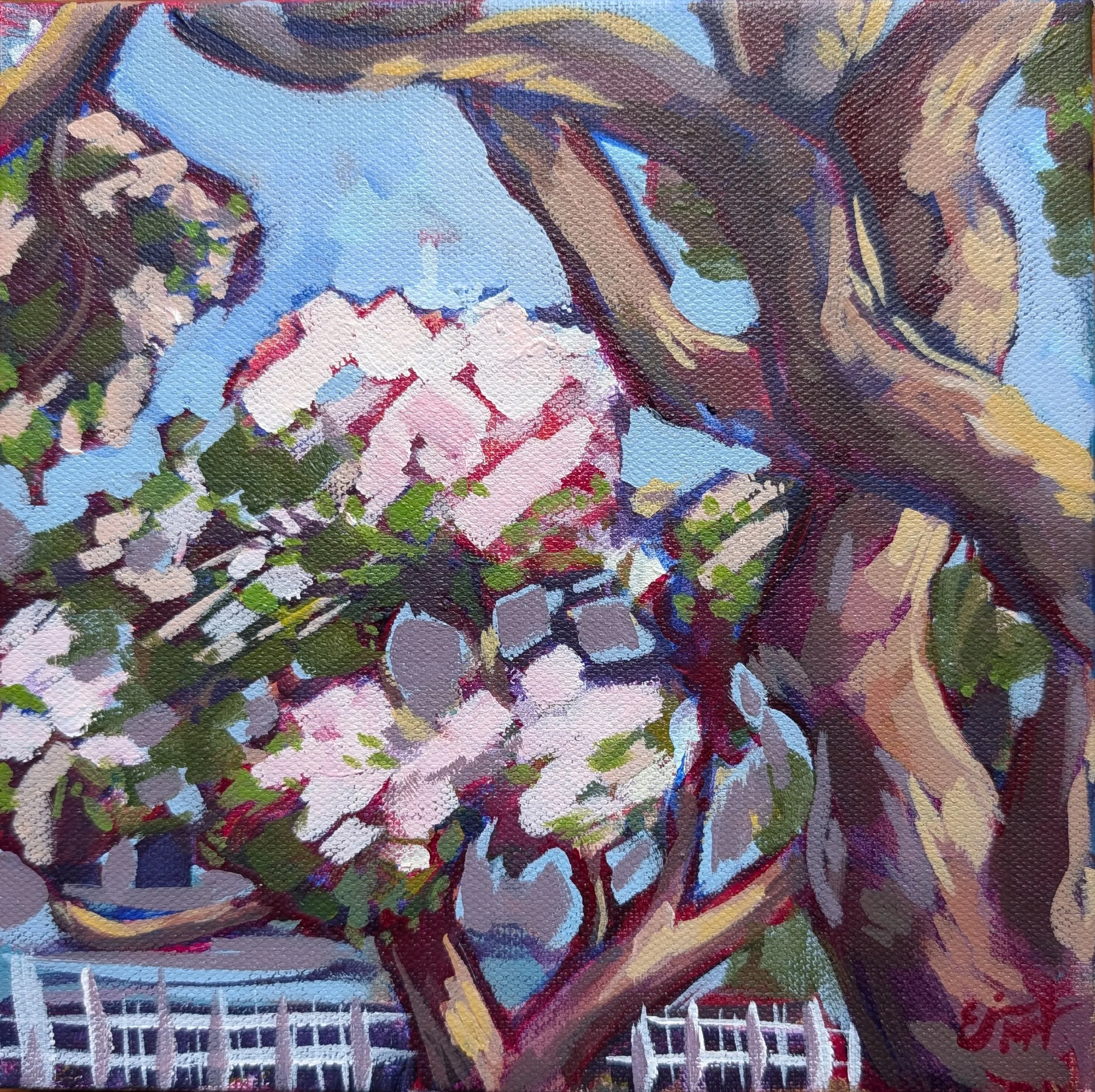 Erin McKeen - Prescott Park Canopy.jpg