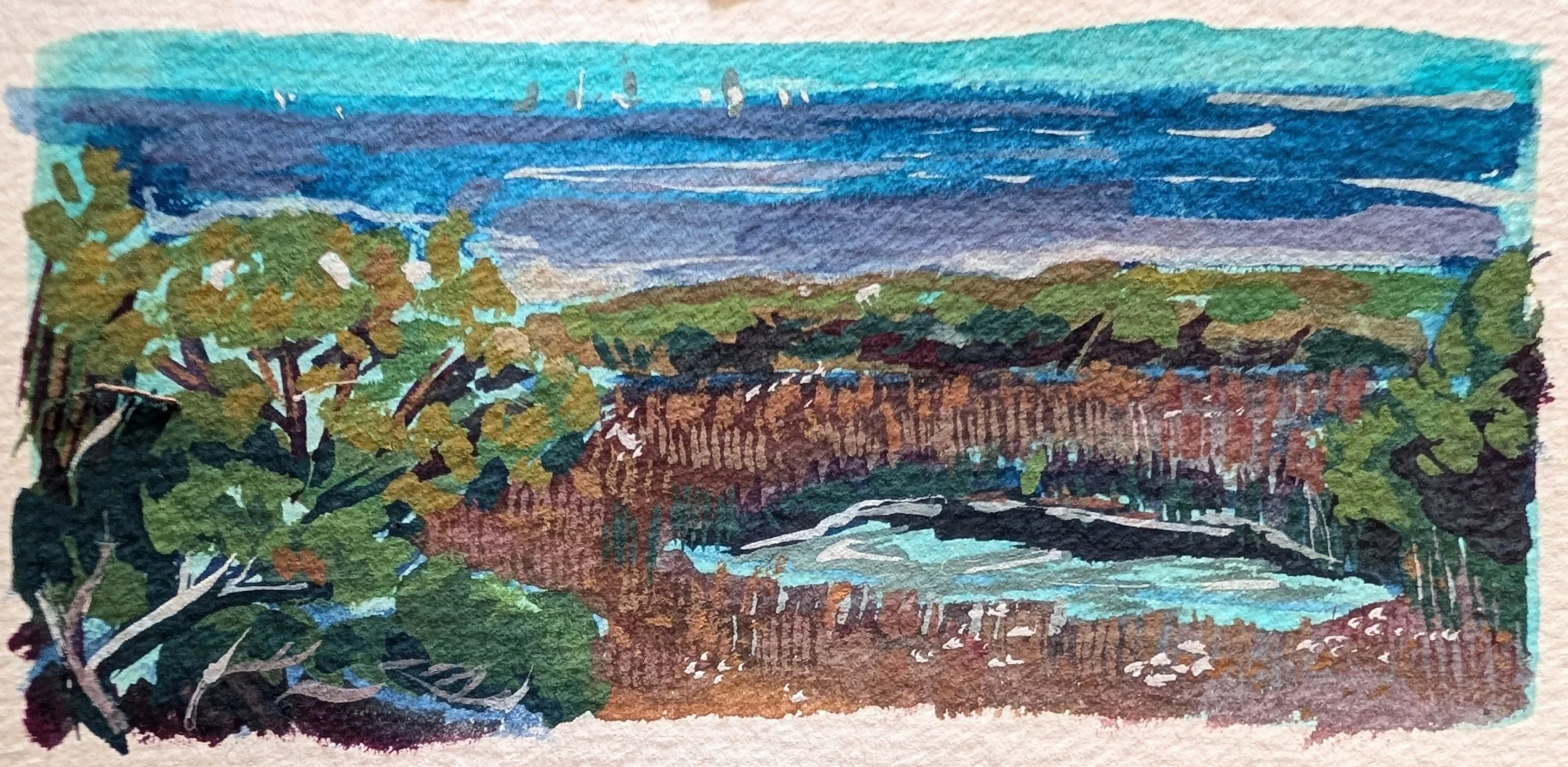 View from Hanging Rock 2026 3 x 6.5.jpg