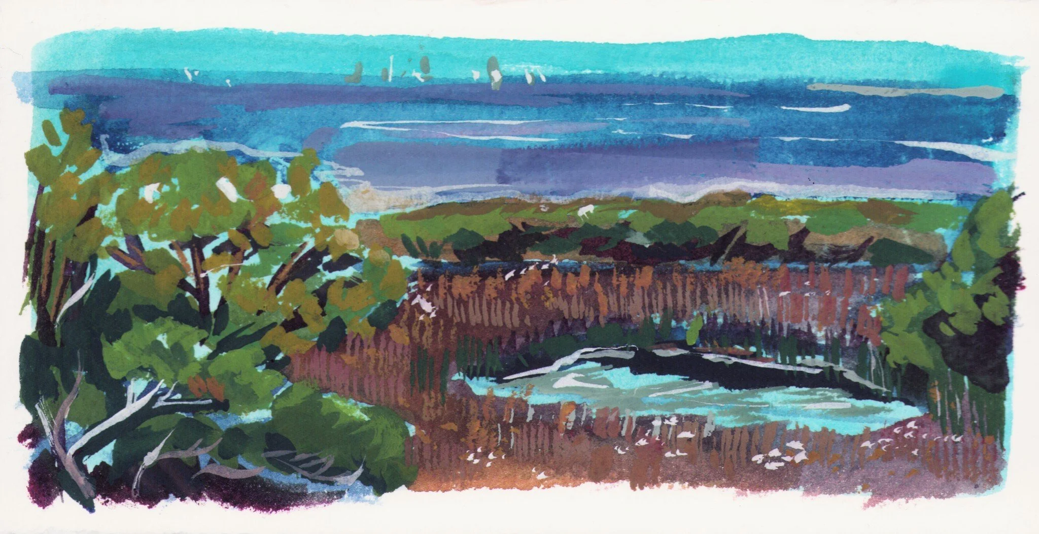 View From Hanging Rock.jpg