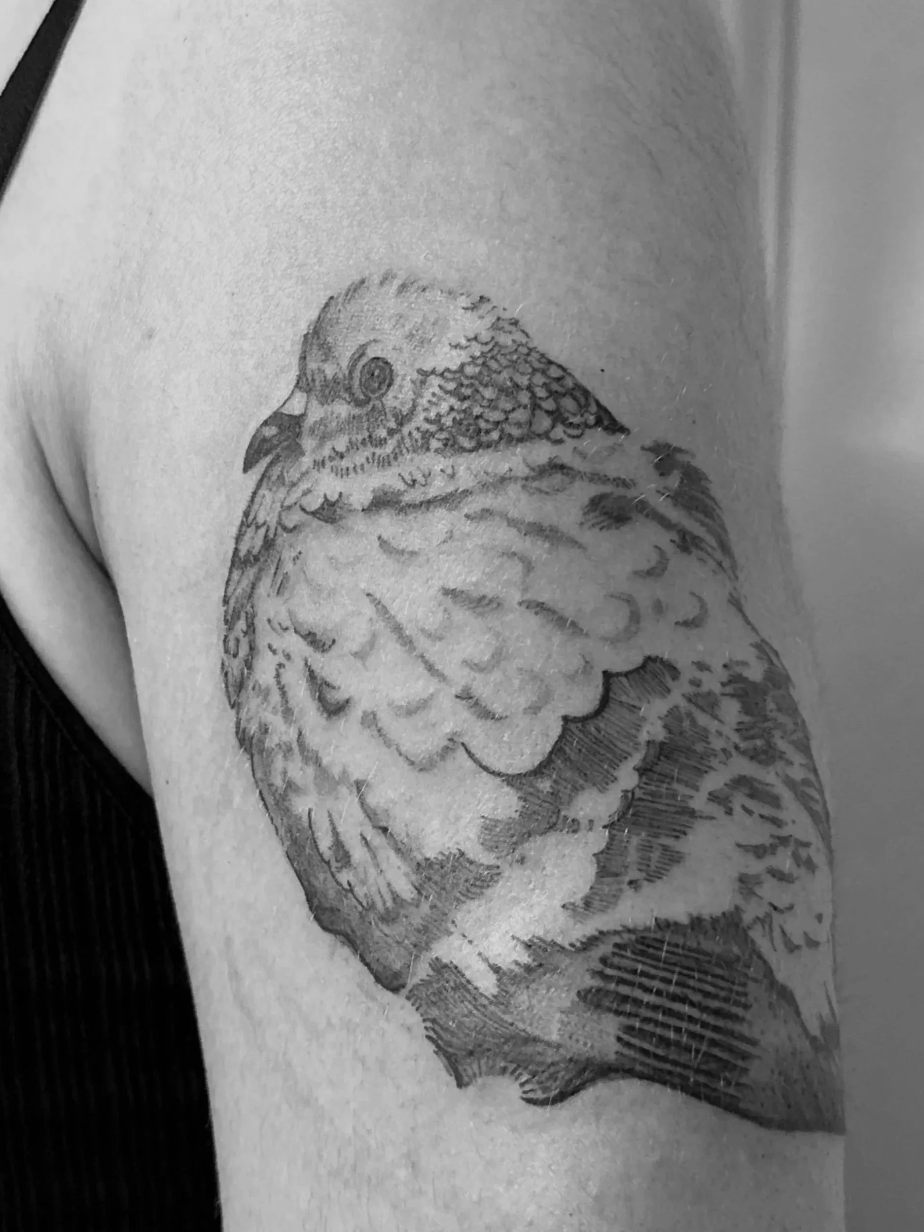 IMG_6292_Original.jpg