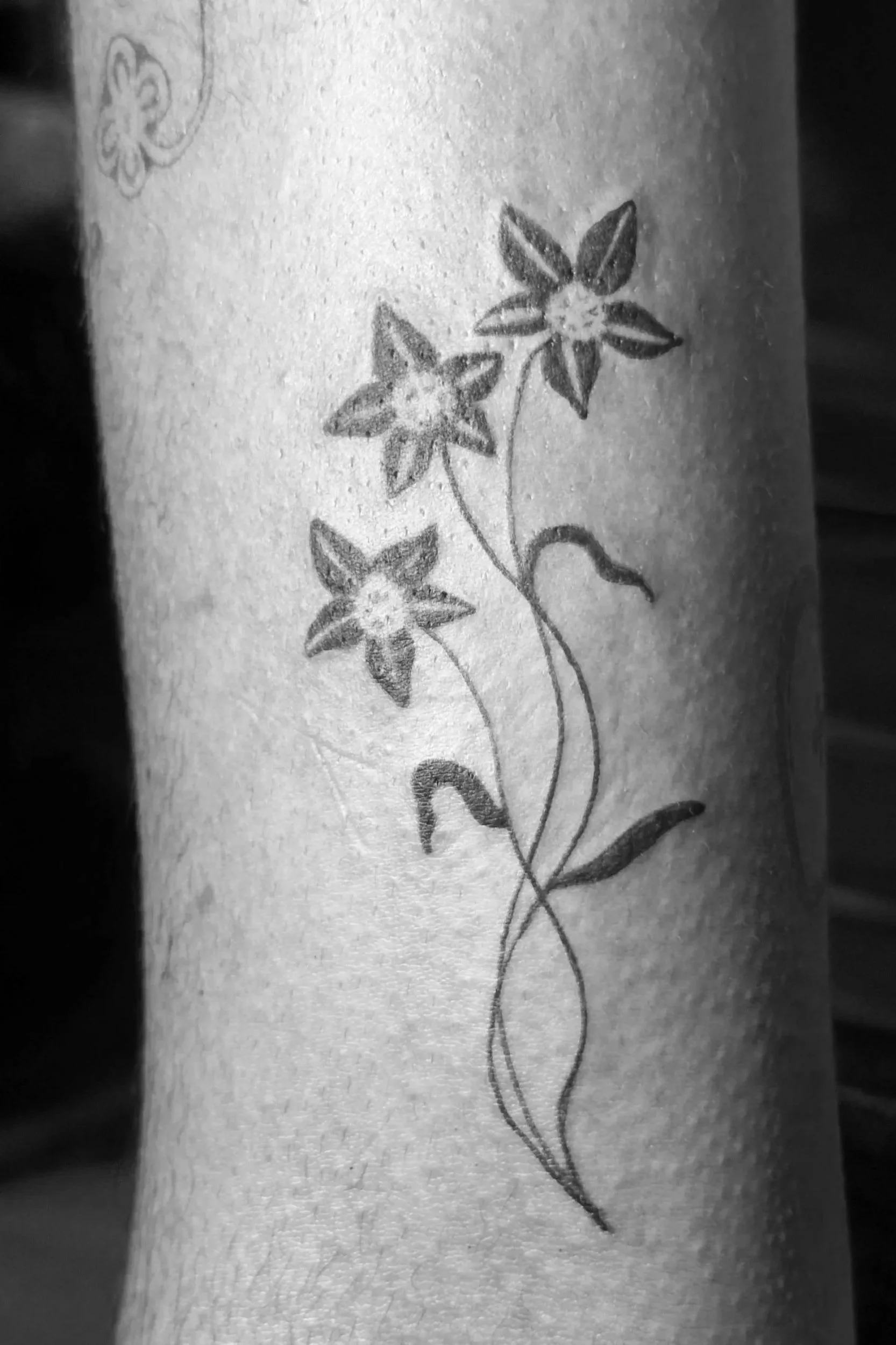 IMG_1041_Original.jpg