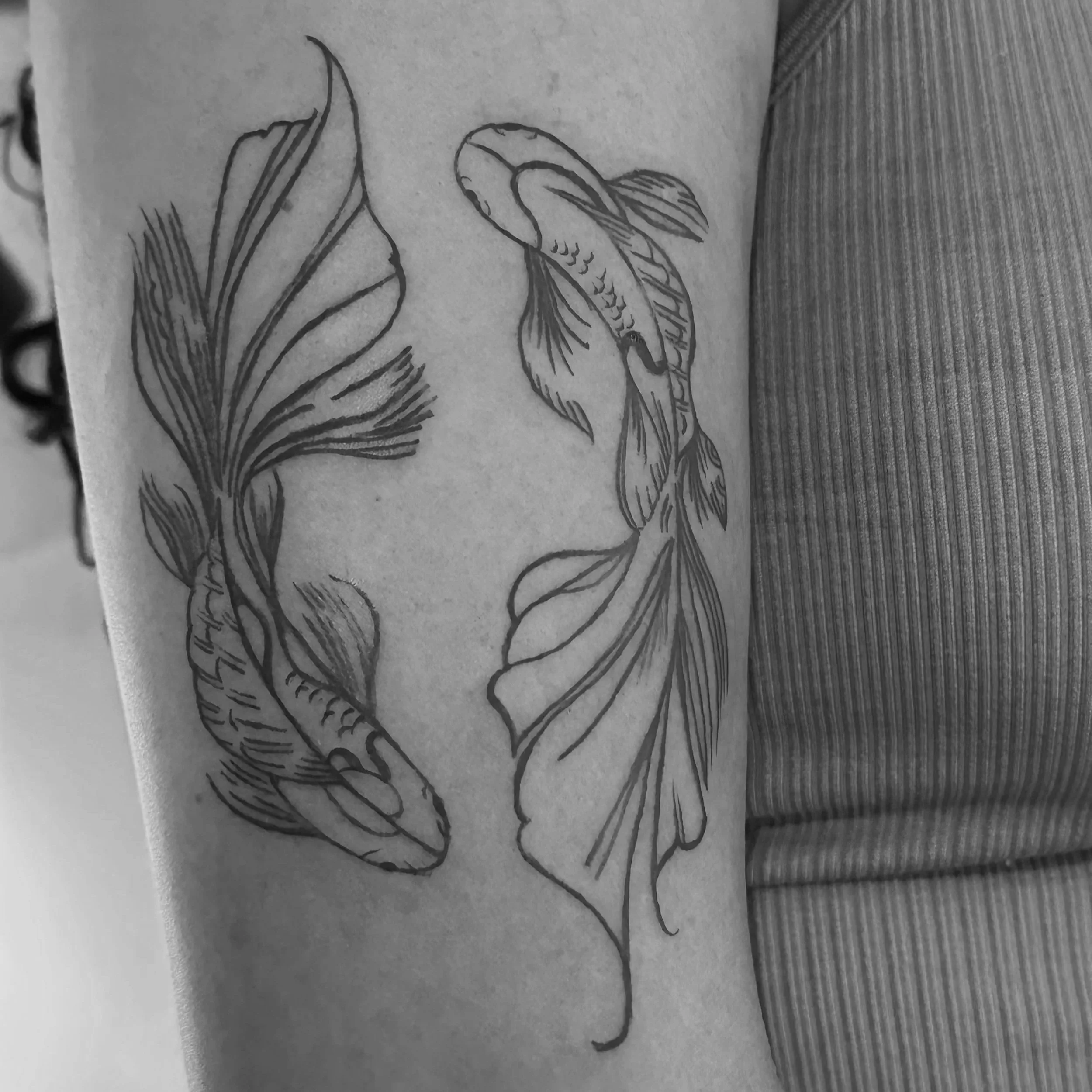 IMG_7608_Original.jpg