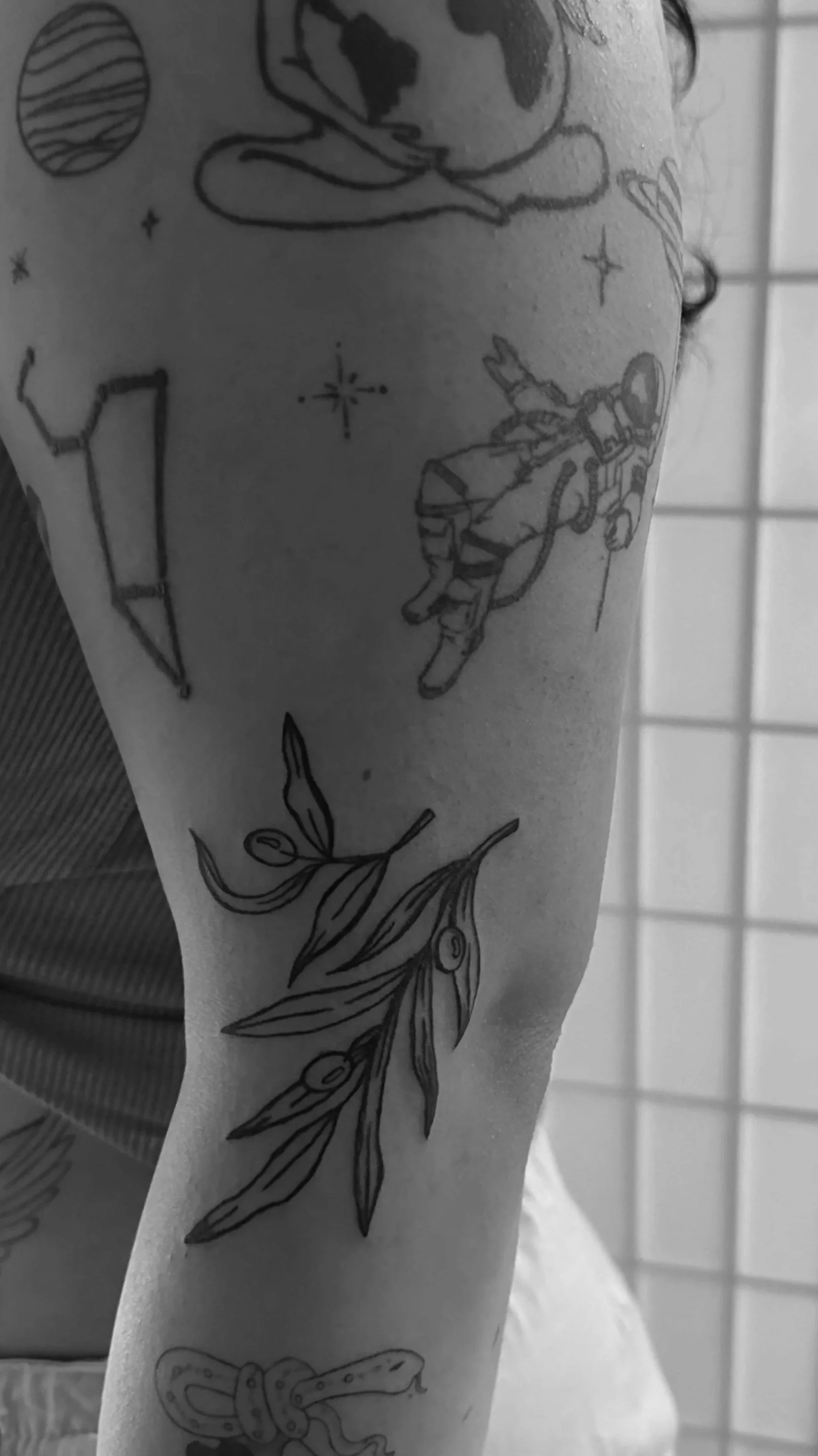 IMG_7435_Original.jpg