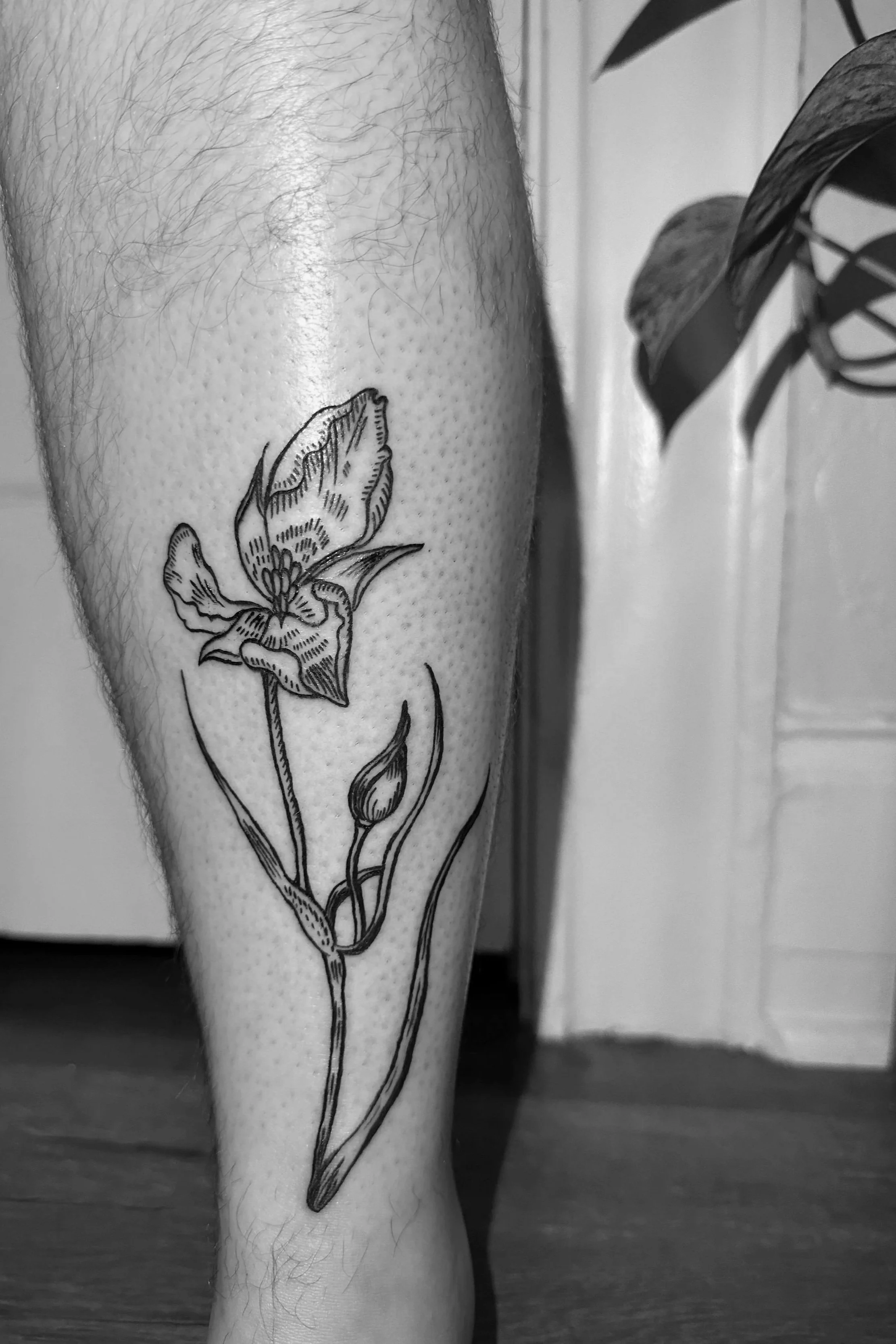 IMG_5123_Original.jpg
