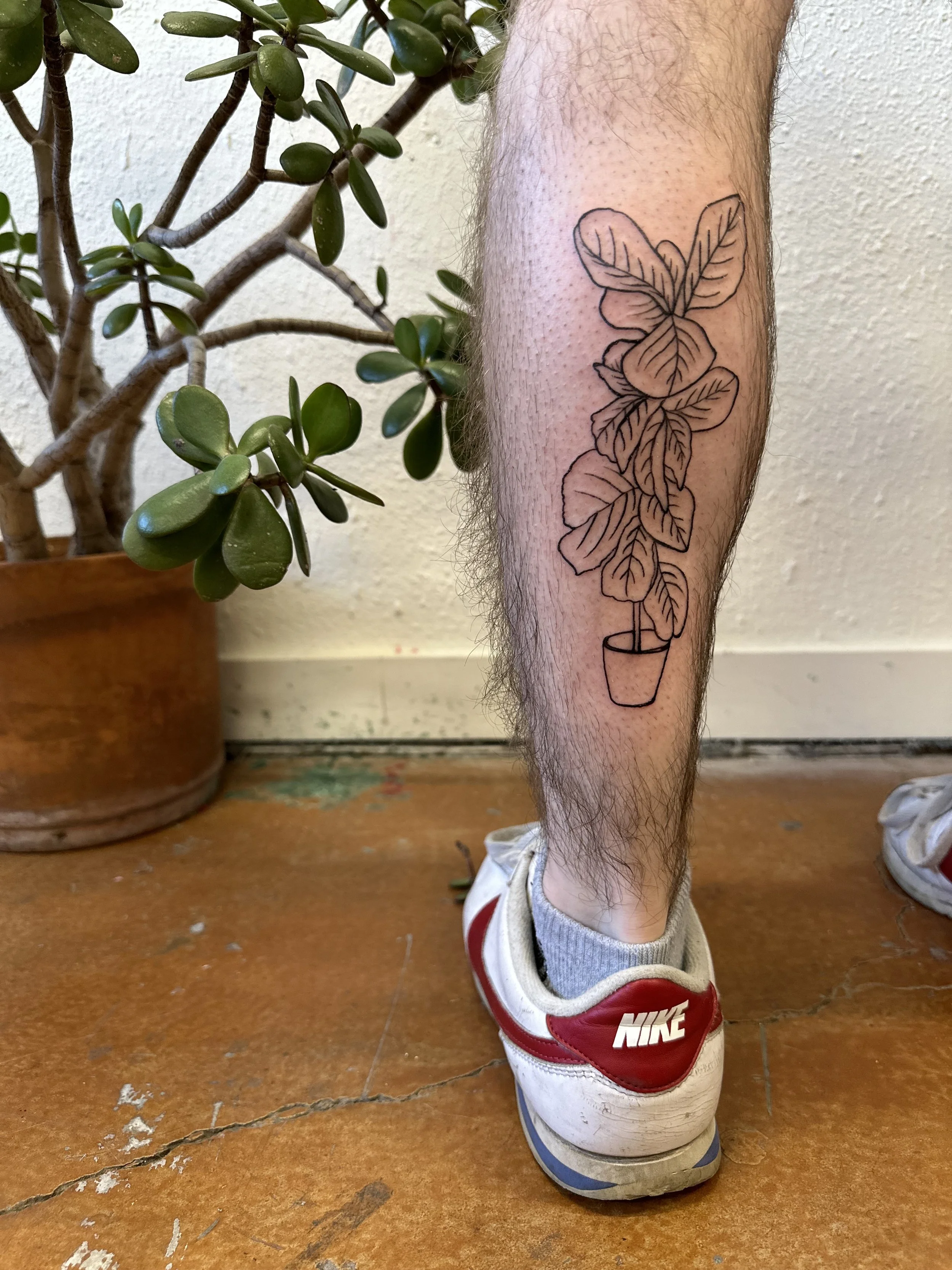 IMG_6134_Original.jpeg