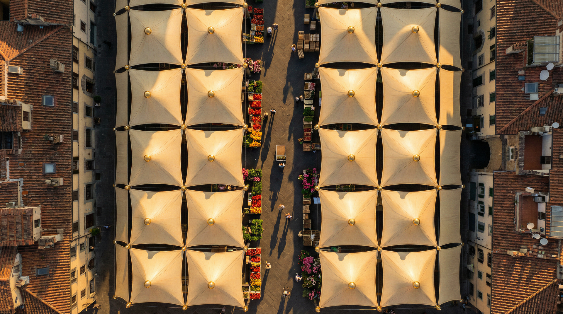 Image 04 (1).png