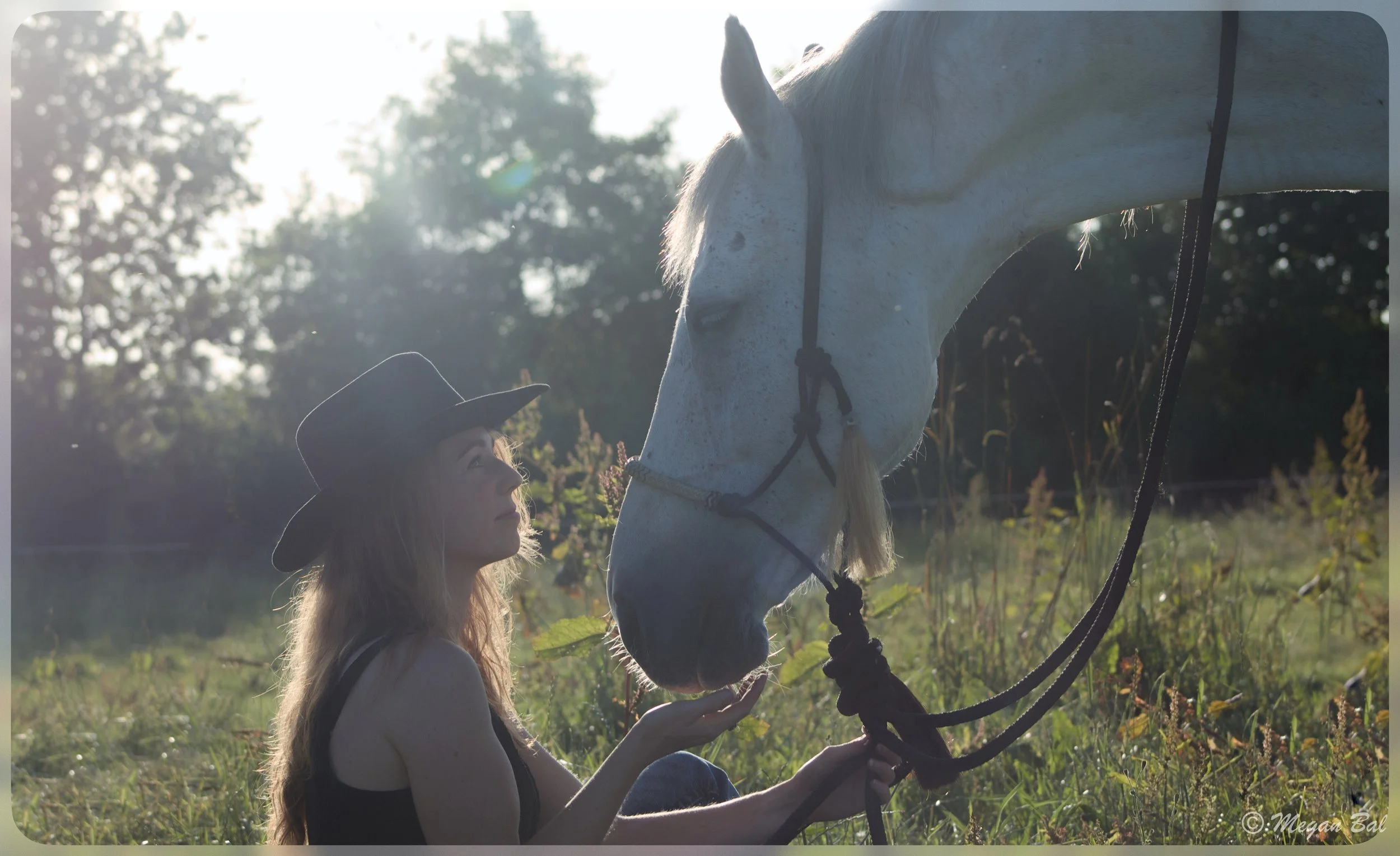 Horse Therapy and Equine-Assisted Learning: What Horses Can Show Us.