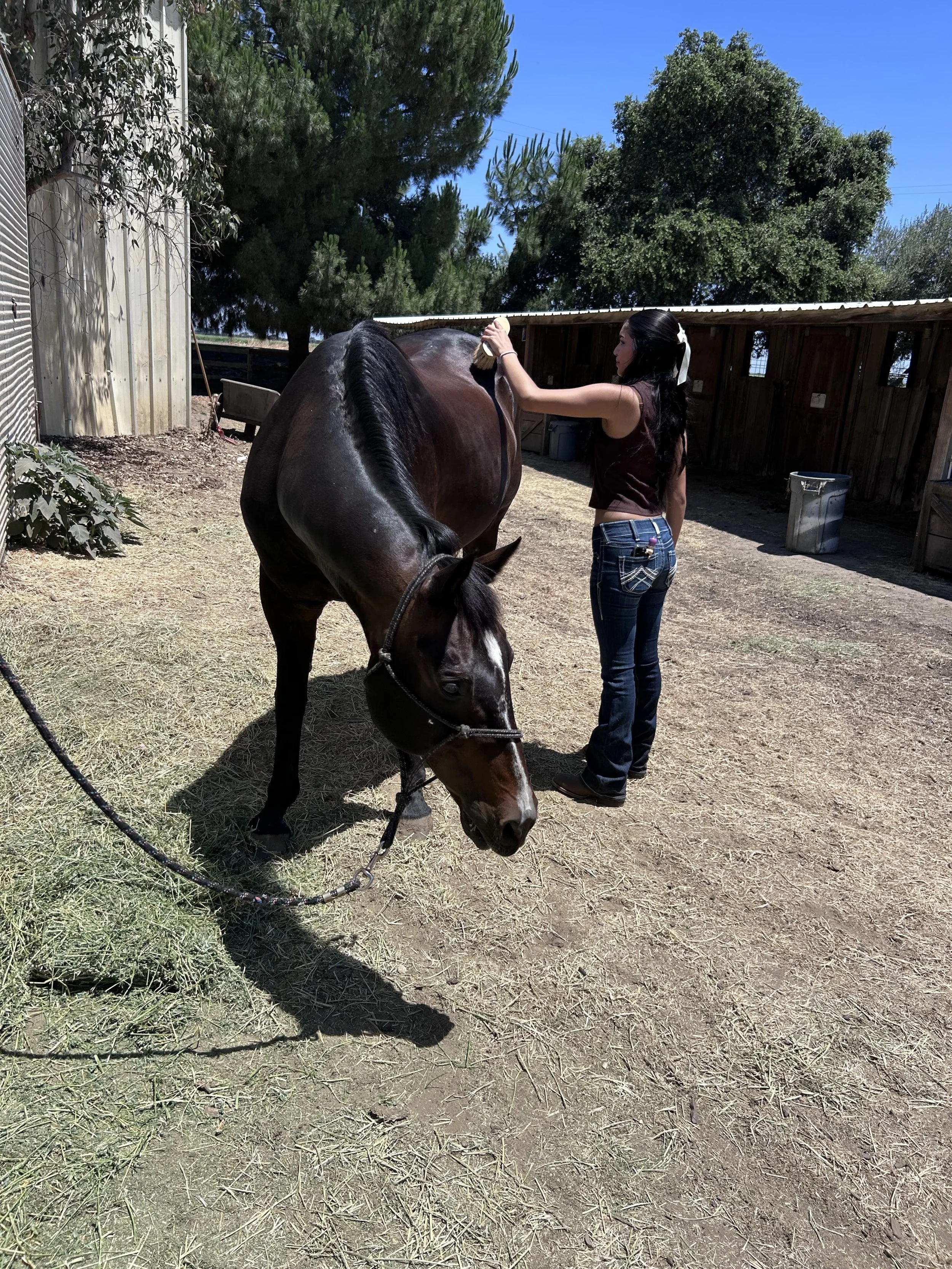 Teen Horse Riding Lesson
