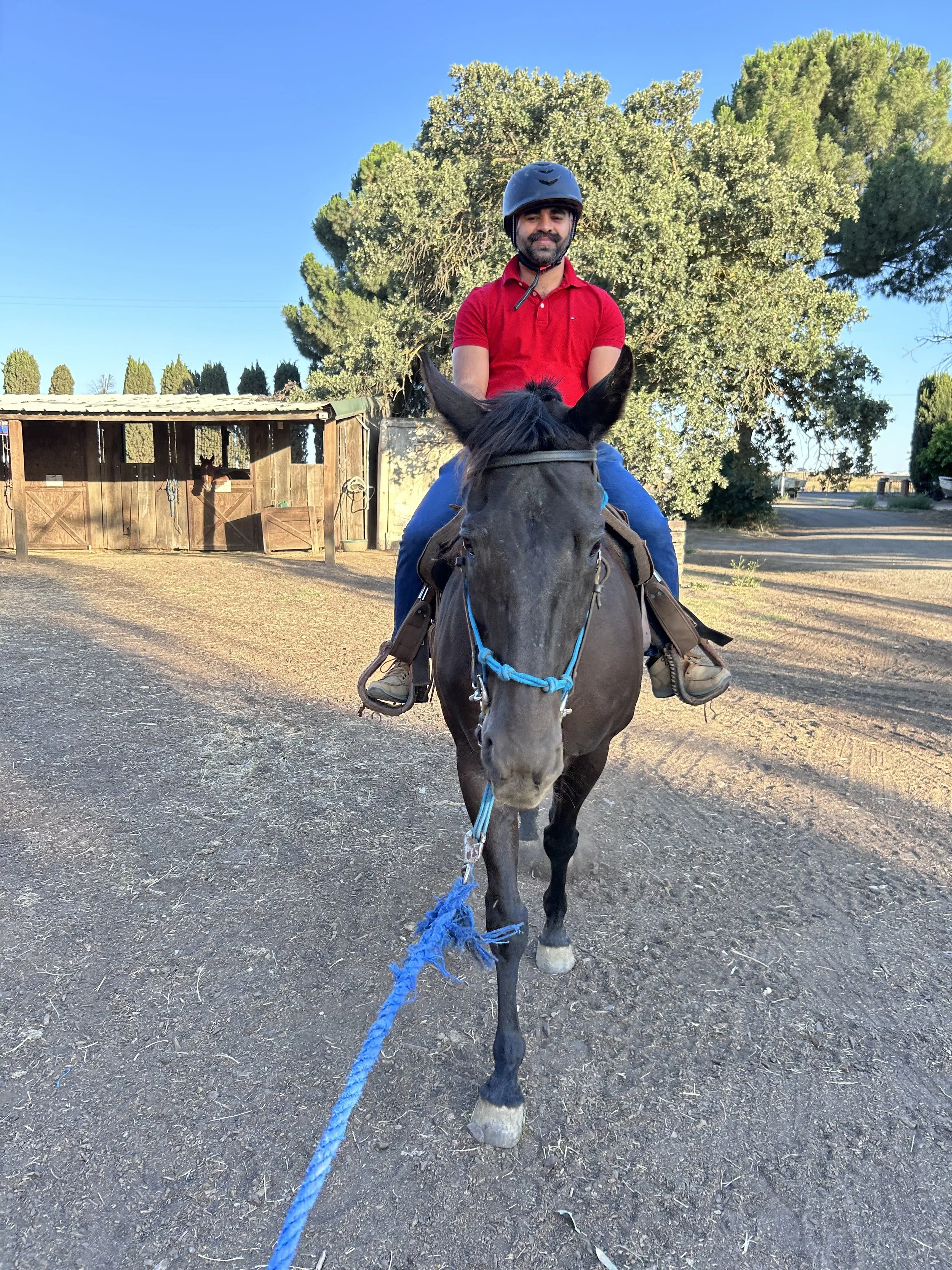 Adult Horse Riding Lesson