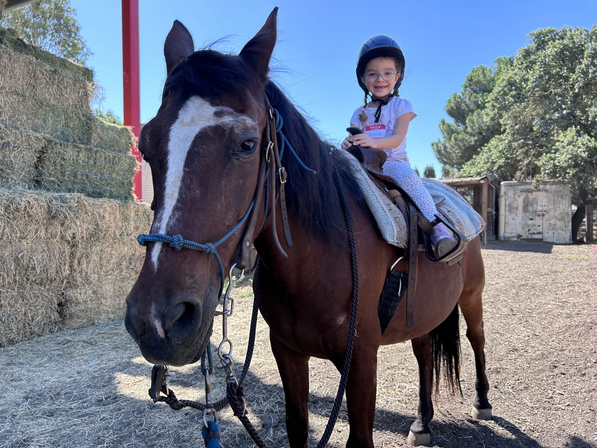 Kids Horse Riding Lesson
