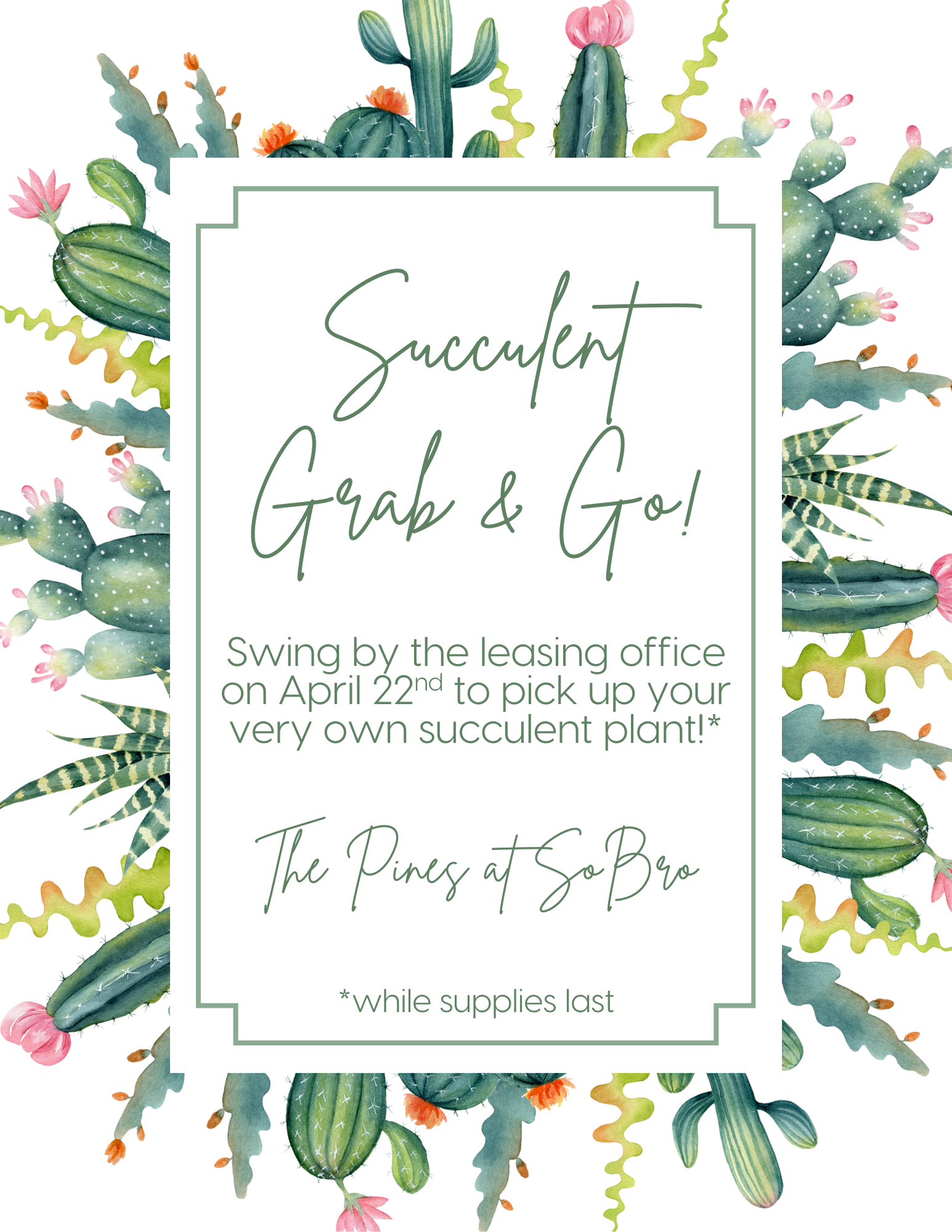 Decorative flyer with watercolor illustrations of cacti and succulents, featuring text about picking up a succulent plant at The Pines at SoBro, with details about the event date and location.