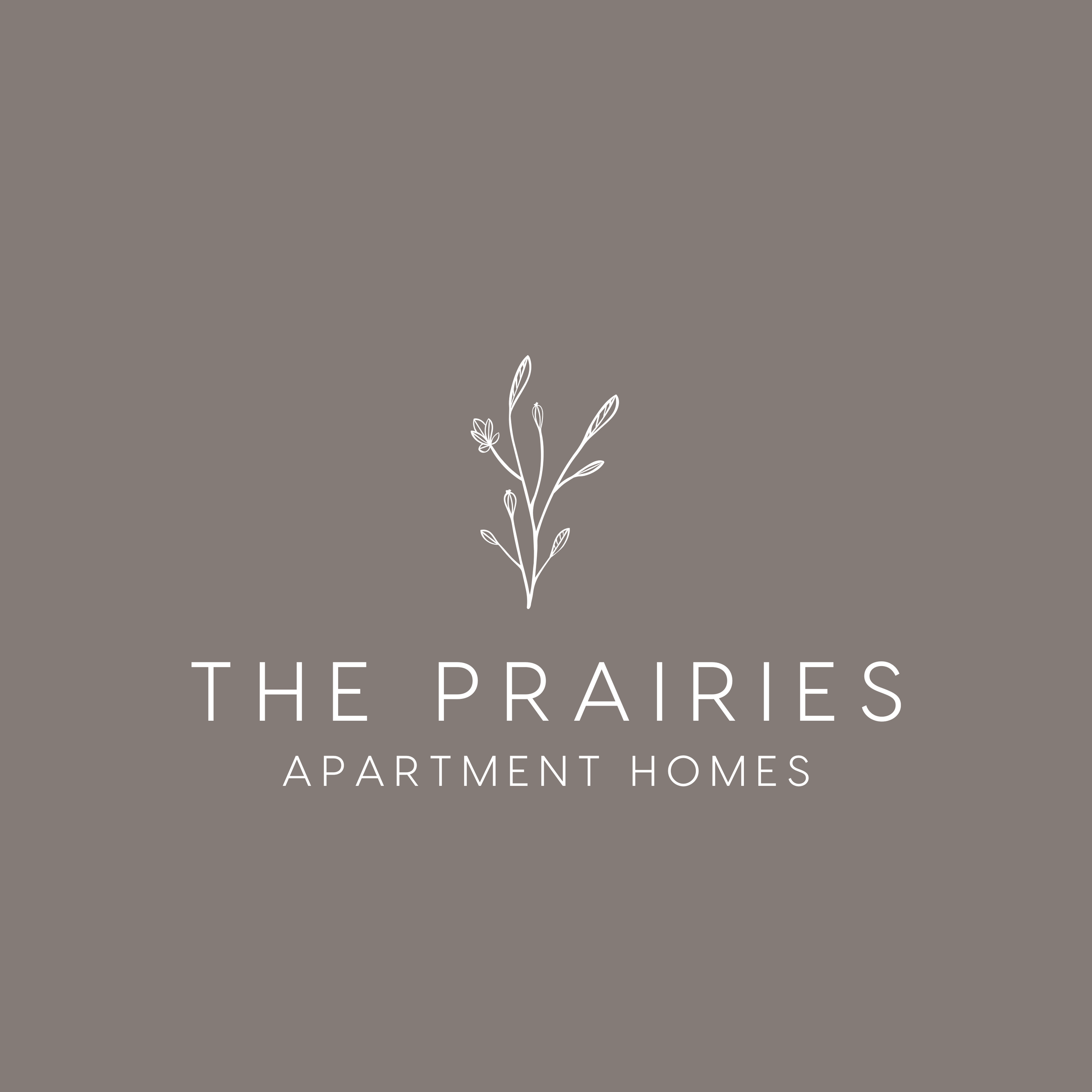 Book cover titled 'The Prairies' with subtitle 'Apartment Homes'. The background is muted gray, featuring a simple white line drawing of a plant with leaves at the bottom.