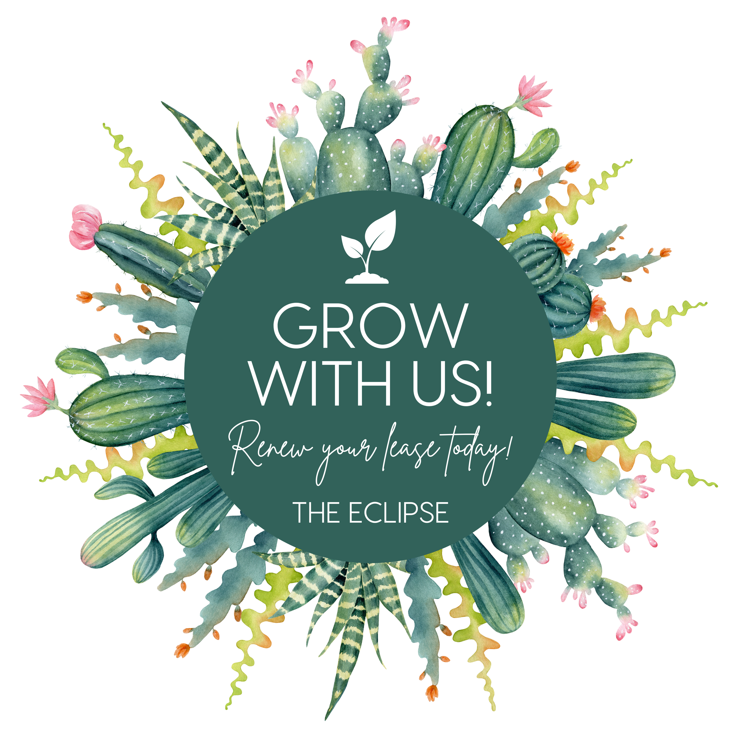 Watercolor illustration of various green cactus plants with pink and orange flowers, surrounding a dark green circle with white text about gardening.