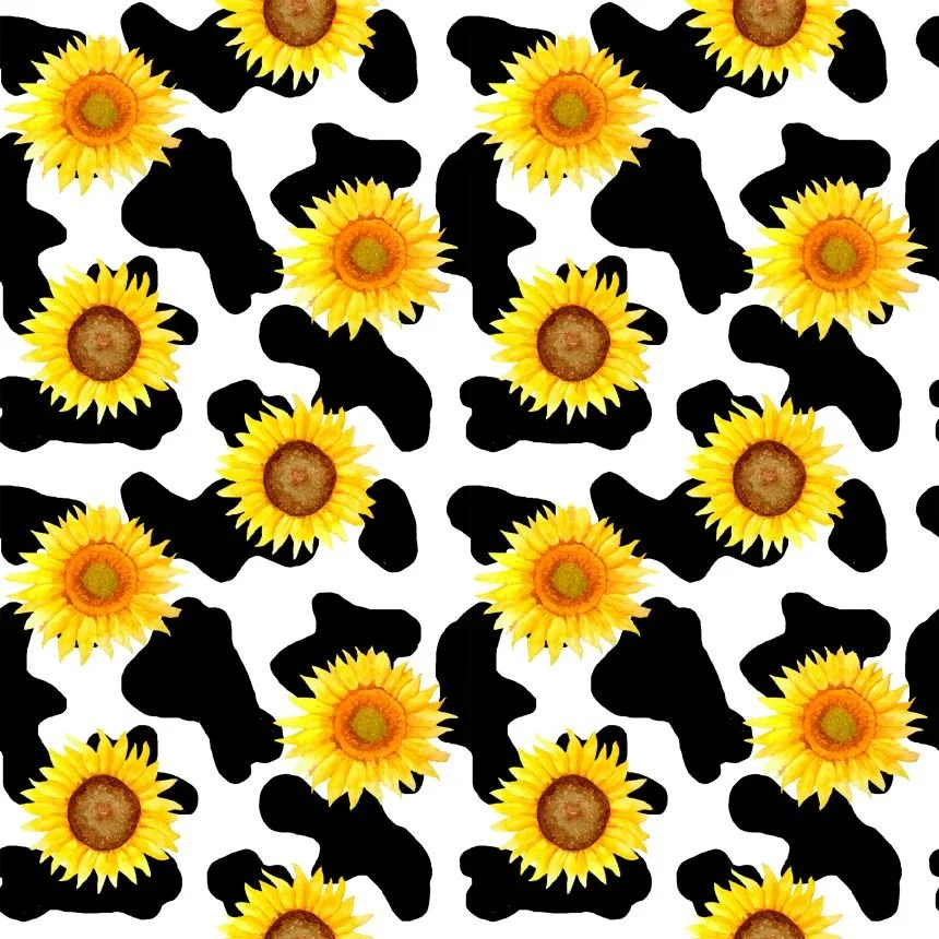 Sunflower Fields