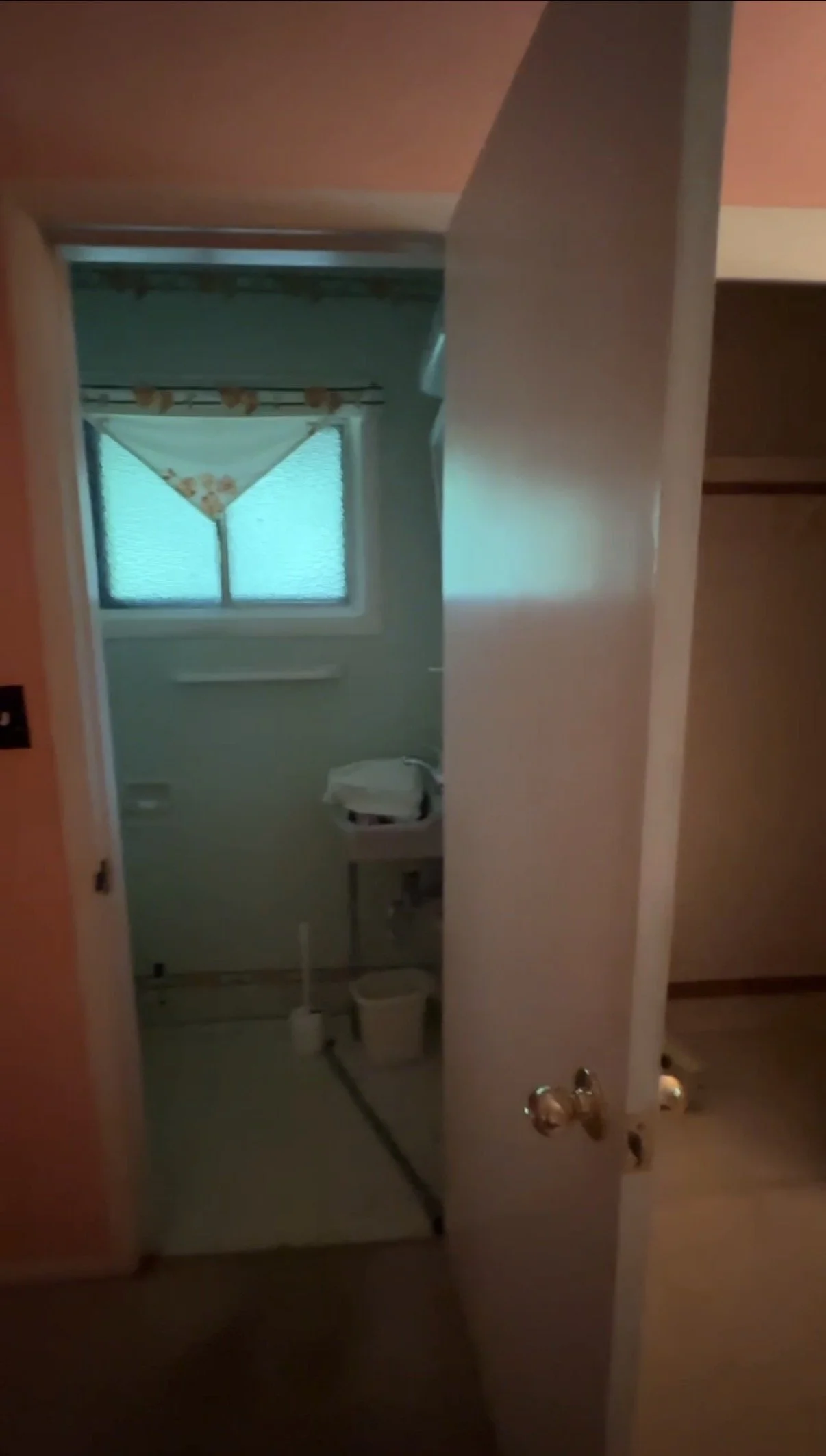 IMG_7437.jpg