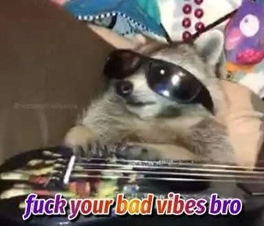 raccoon vibes.JPG