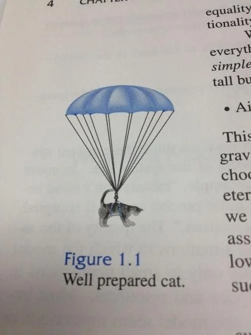 well-prepared cat.jpg