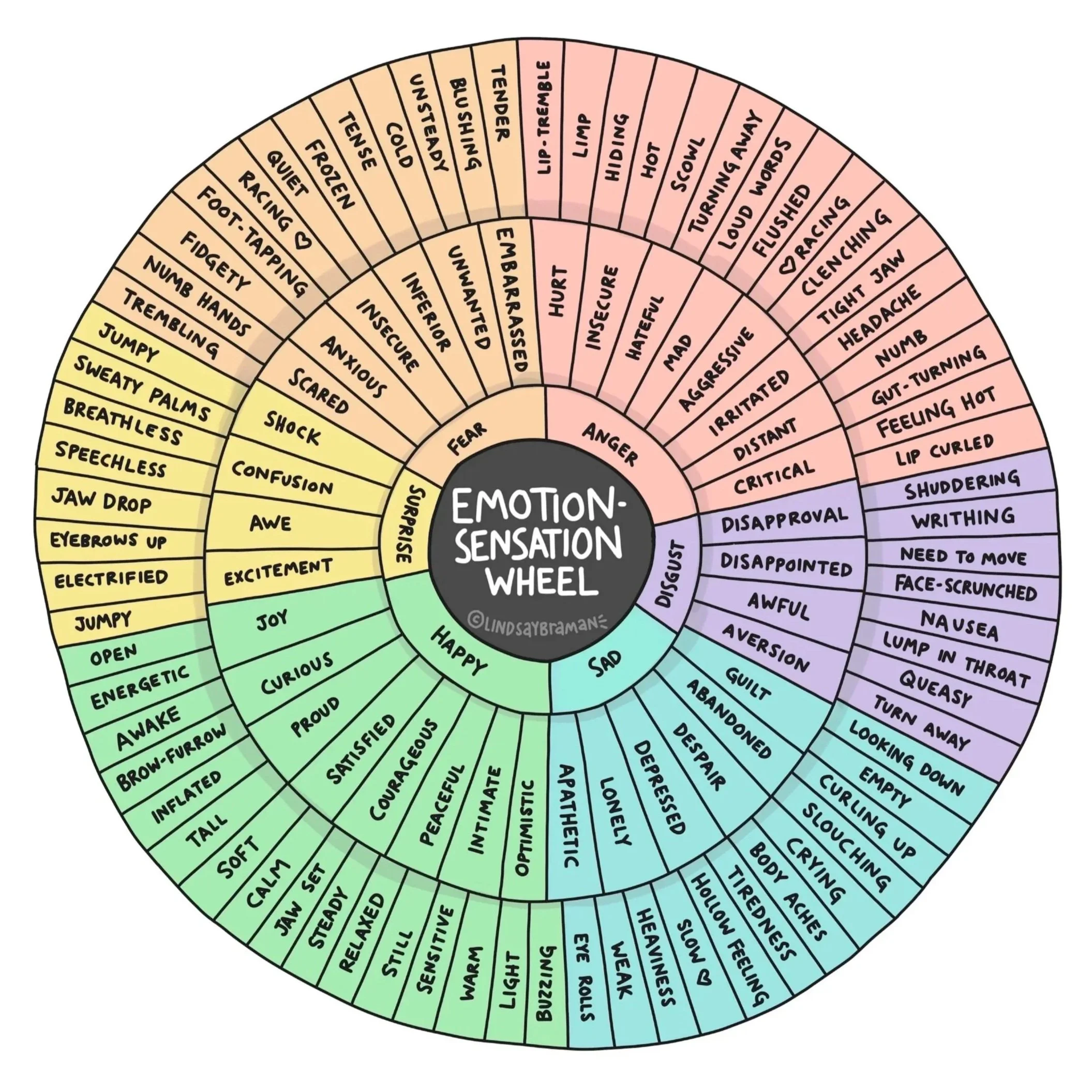 Emotion-Sensation%2BWheel.jpg