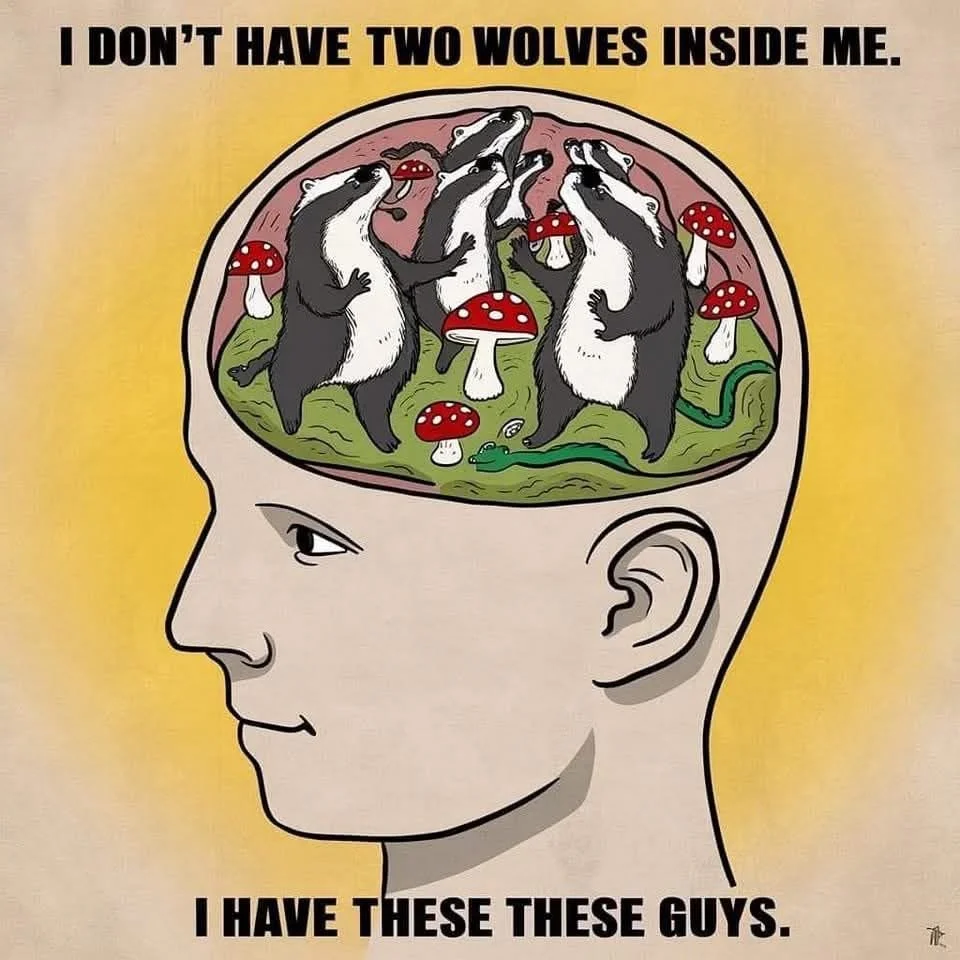badgers not wolves.jpg