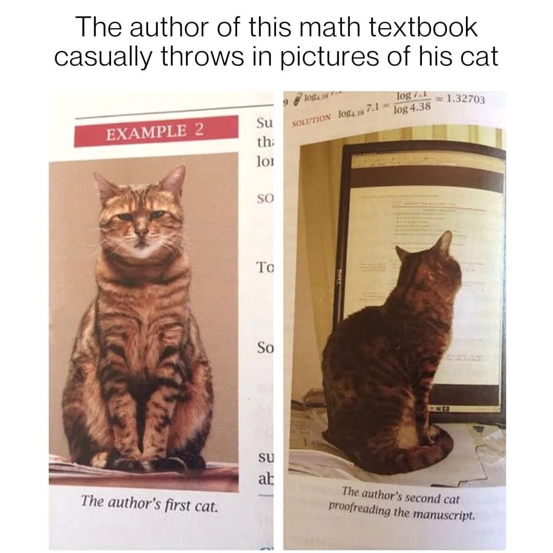 cat math textbook cat.jpeg
