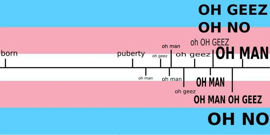 trans timeline.jpg
