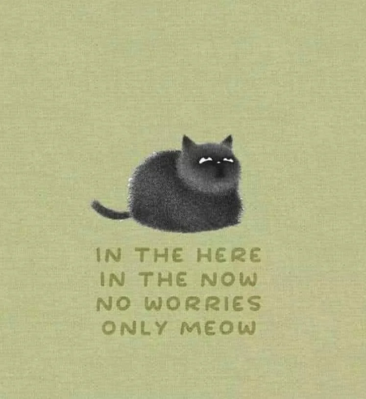 here and now cat.JPG