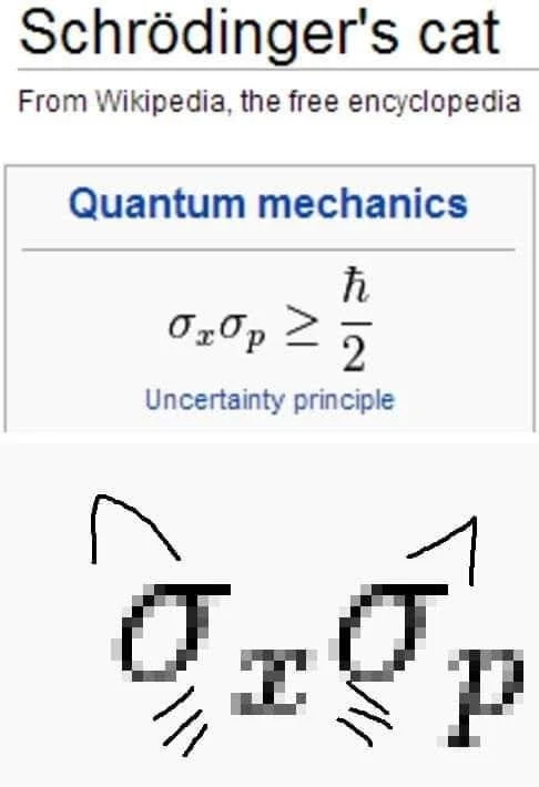 schrodingers cat.JPG