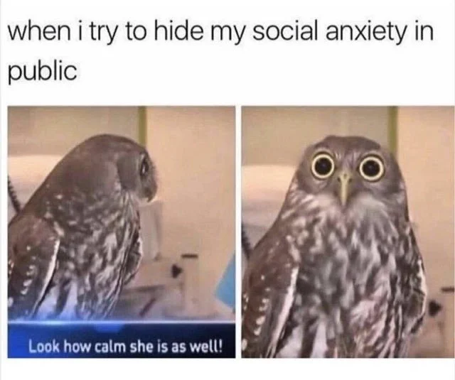 social anxiety owl.jpeg