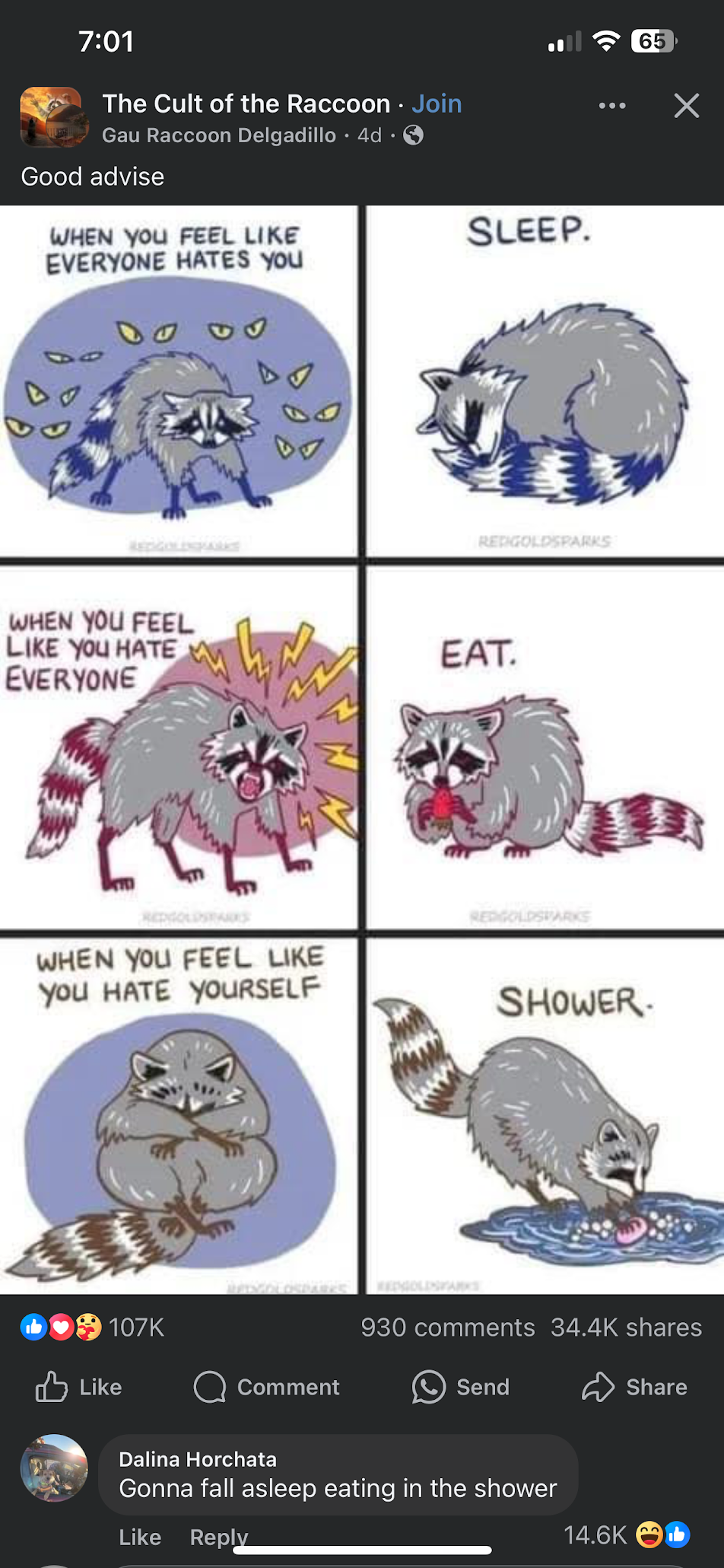 racoon advise.png