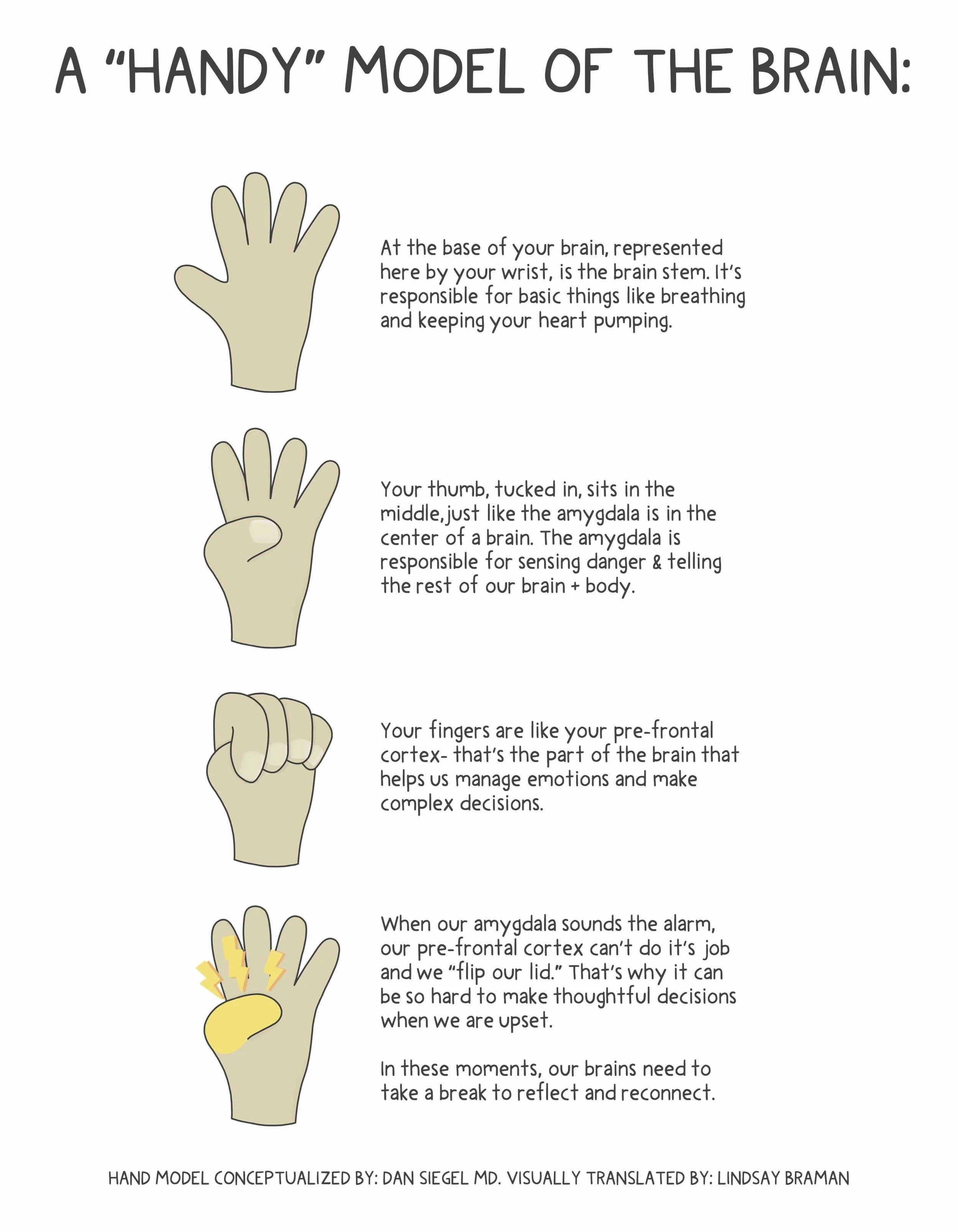 lindsaybraman-hand-model-brain-8.5x11 (dragged).jpeg