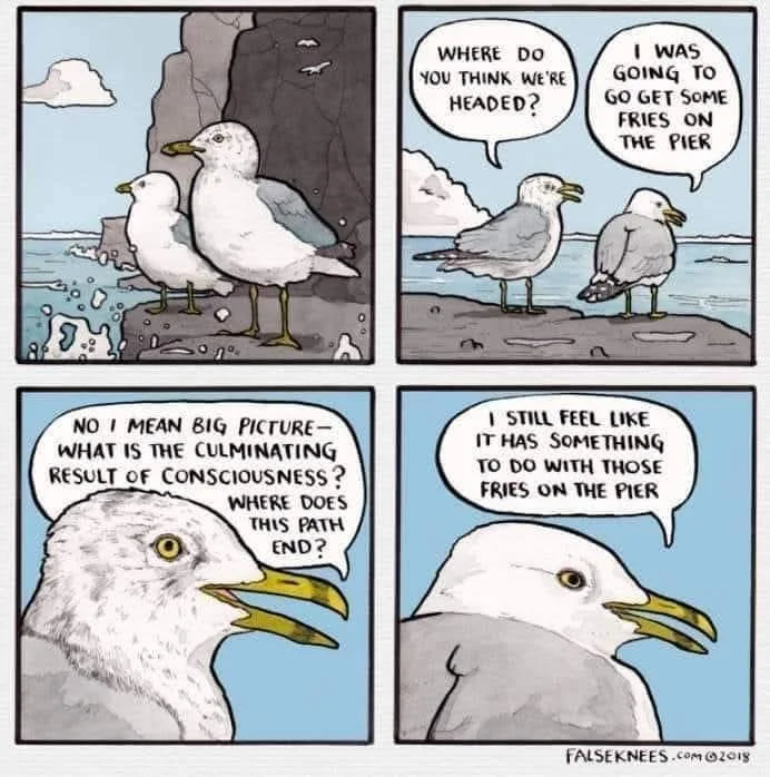 seagull meaning of life.JPG