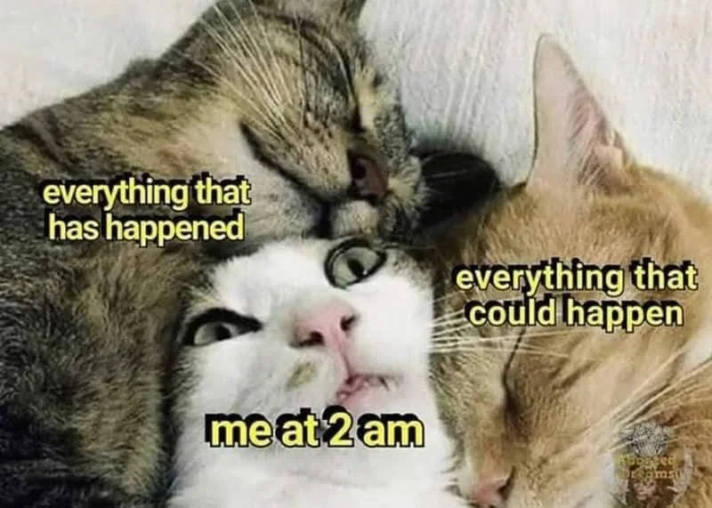 cat everything happening.JPG