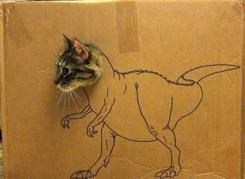 dino cat.JPG